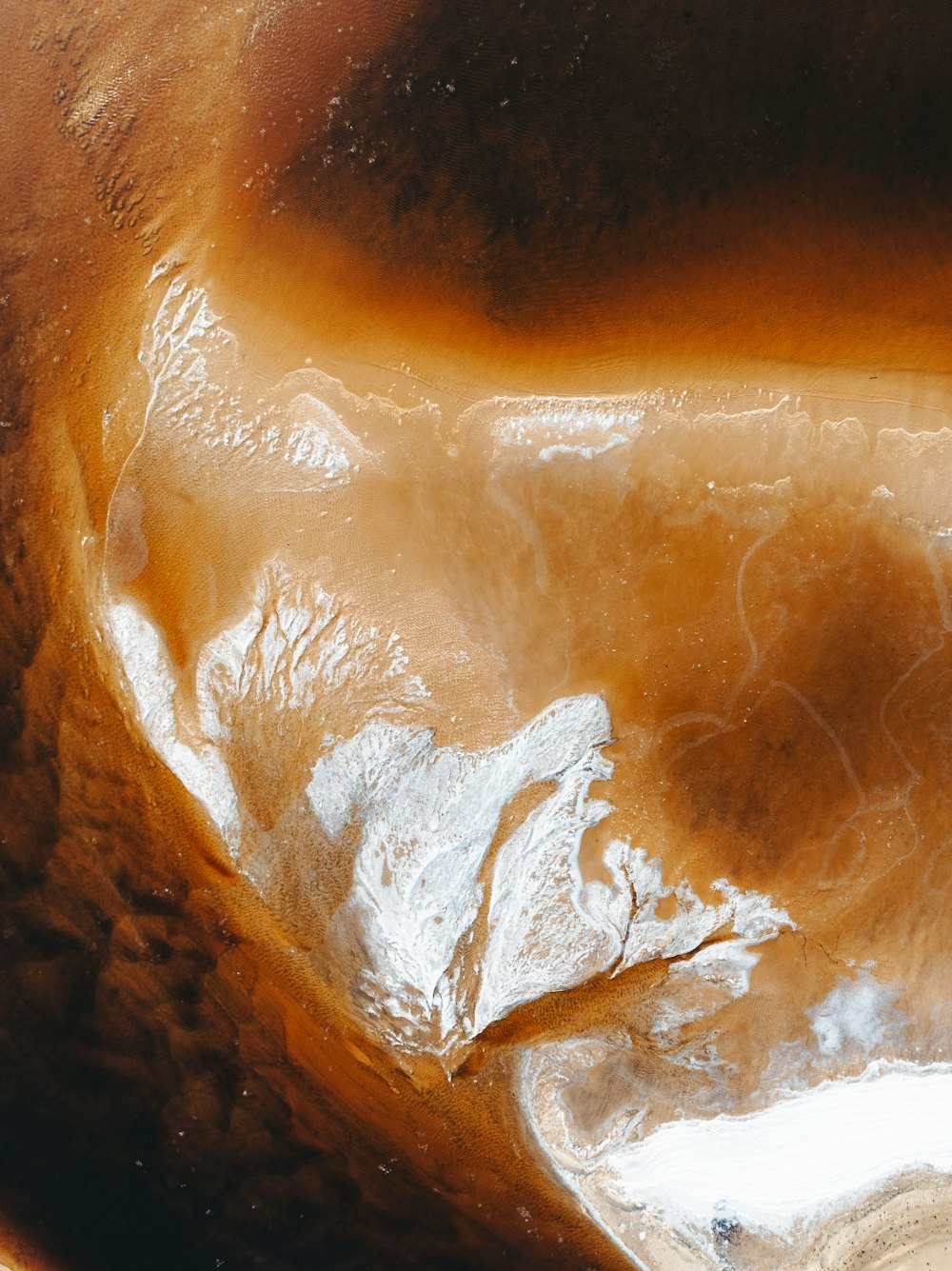 a close up of a brown substance in water