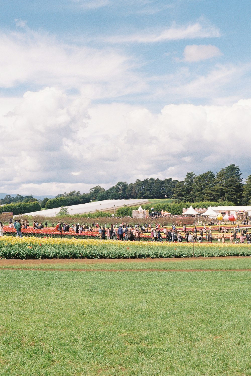 a crowd of people standing around a lush green field