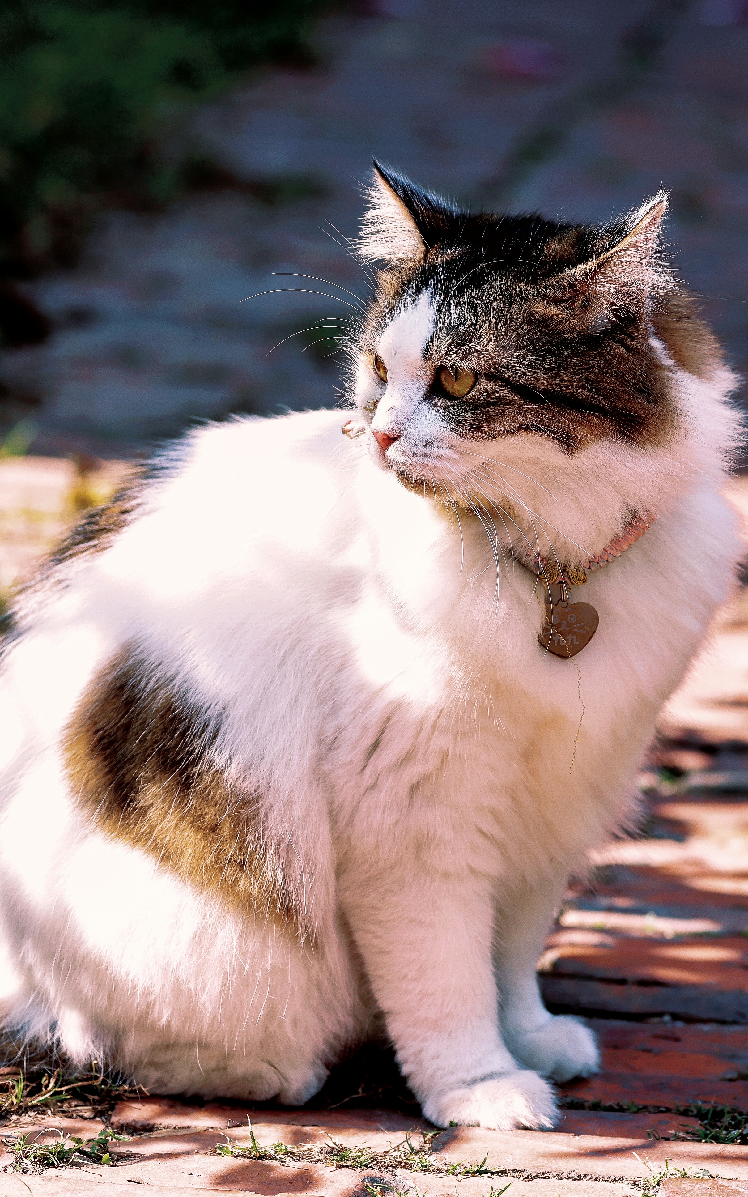 Photo by dickenslin76