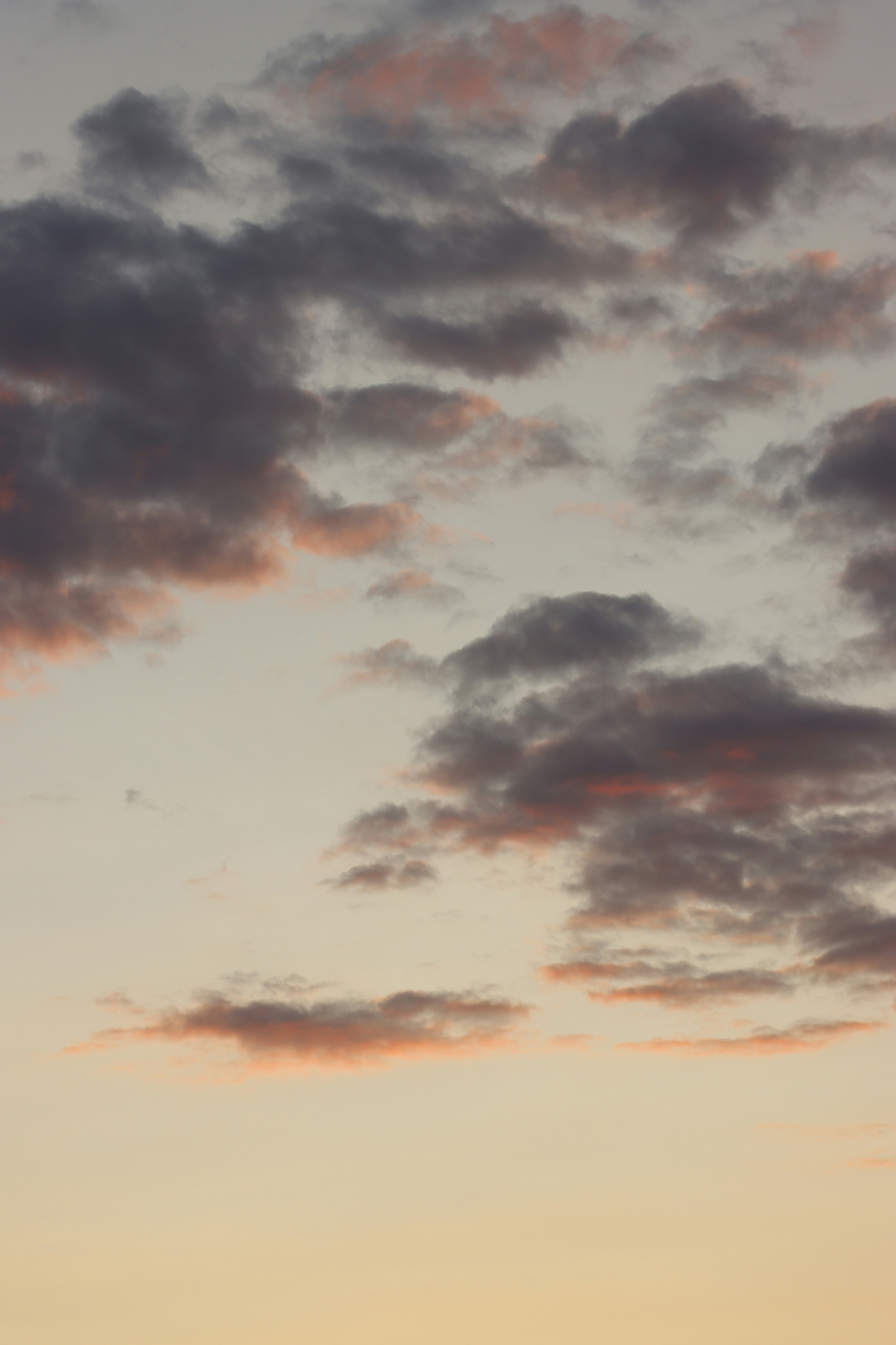 photo-1705137220506-0e3365e0a703?ixid=M3wxMjA3fDB8MXxzZWFyY2h8MTkzfHwlRDAlQkElRDAlQjAlRDAlQkElMjAlRDAlQjclRDAlQjAlRDElODAlRDAlQjAlRDAlQjElRDAlQkUlRDElODIlRDAlQjAlRDElODIlRDElOEMlMjAlRDAlQkQlRDAlQjAlMjAlRDAlQkUlRDAlQjElRDAlQkMlRDAlQjUlRDAlQkQlRDAlQjUlMjAlRDAlQkElRDElODAlRDAlQjglRDAlQkYlRDElODIlRDAlQkUlRDAlQjIlRDAlQjAlRDAlQkIlRDElOEUlRDElODIlRDElOEJ8ZW58MHx8fHwxNzMyNDc0MjM2fDA%5Cu0026ixlib=rb-4.0.3