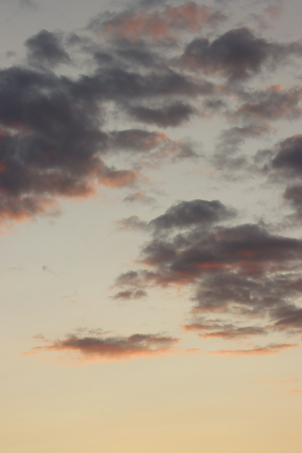 a plane flying in the sky at sunset