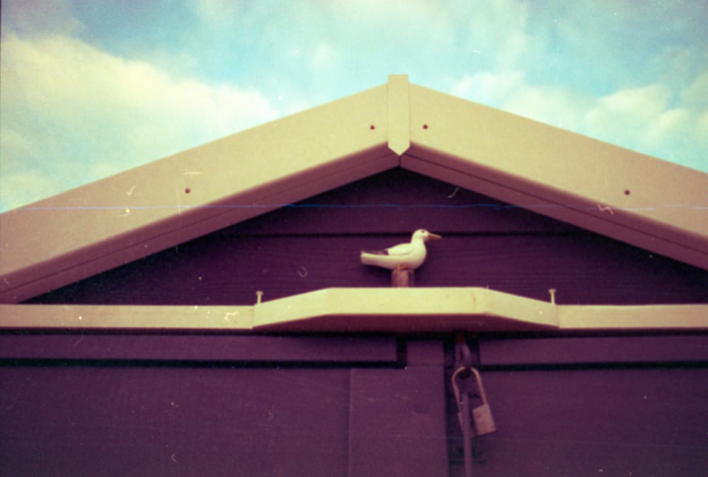 a small white bird sitting on top of a roof