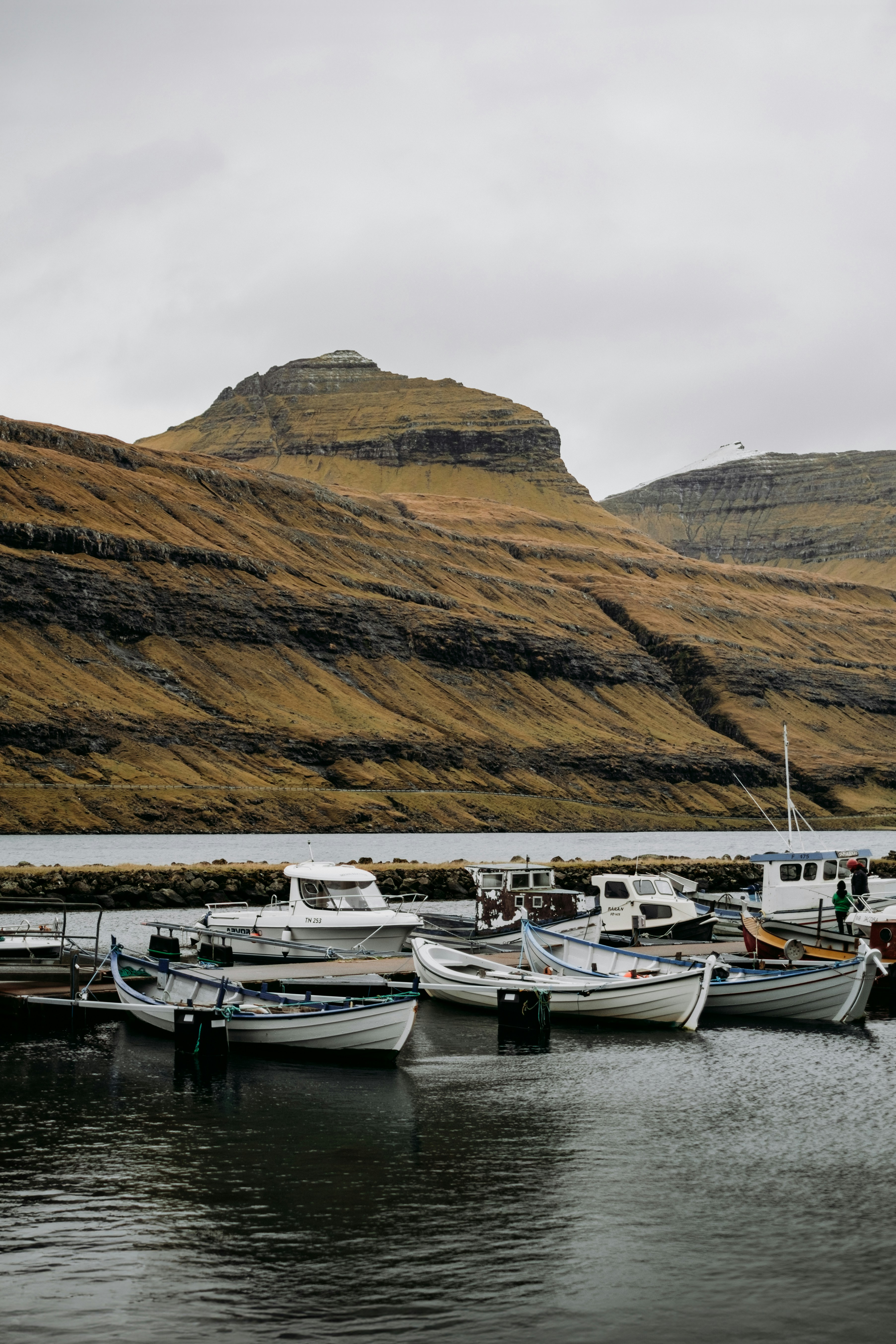 a group of boats docked in a body of water