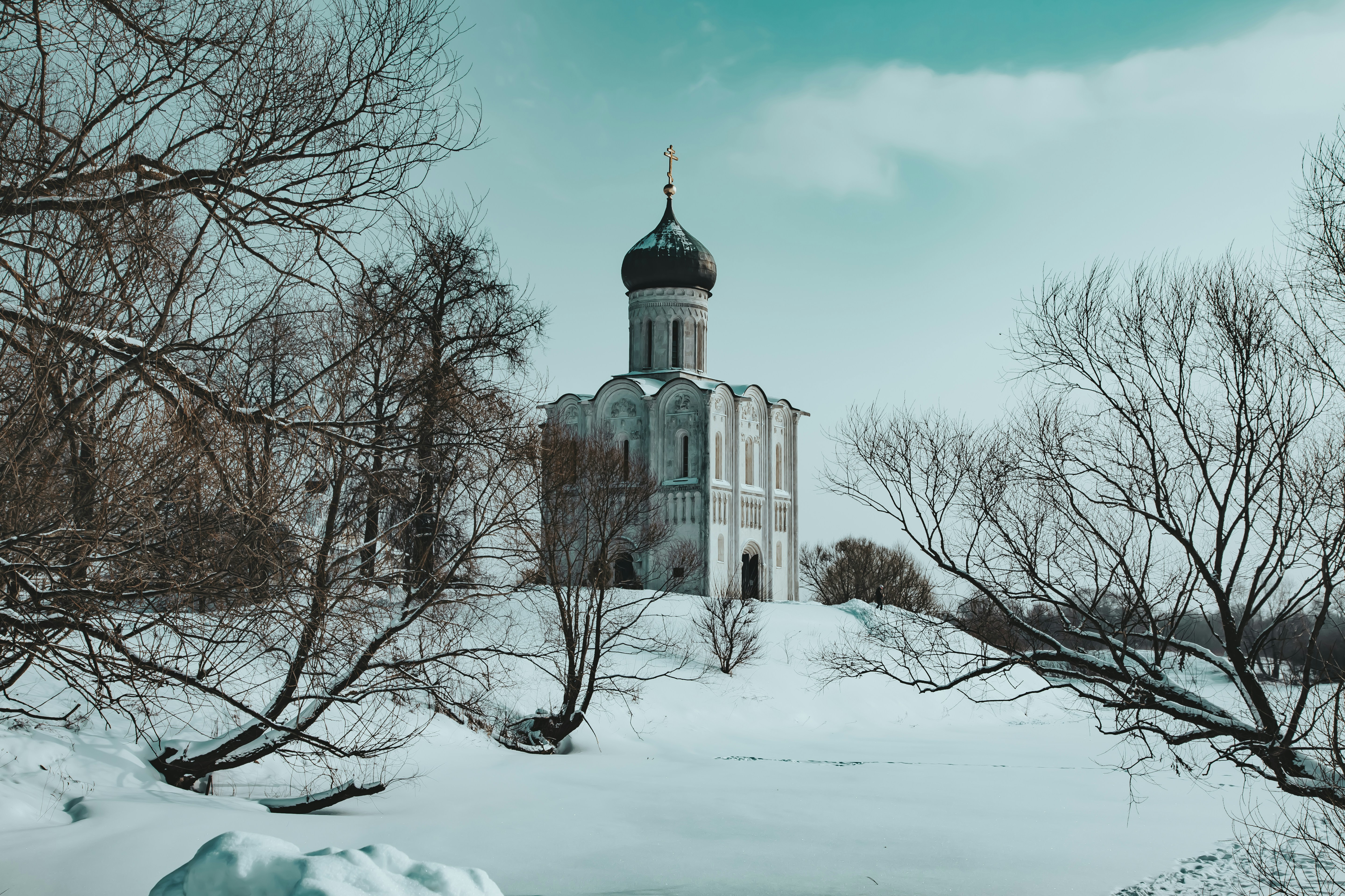 Photo by albert_klein