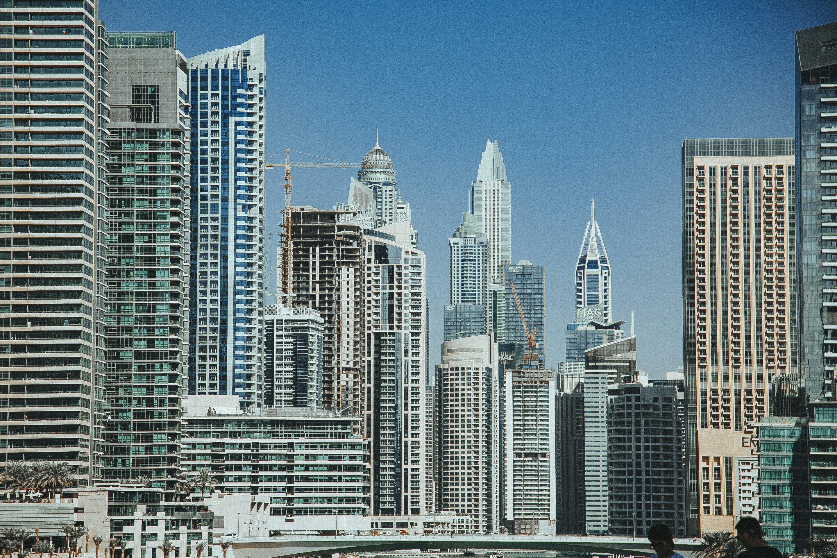 Photo by albert_klein