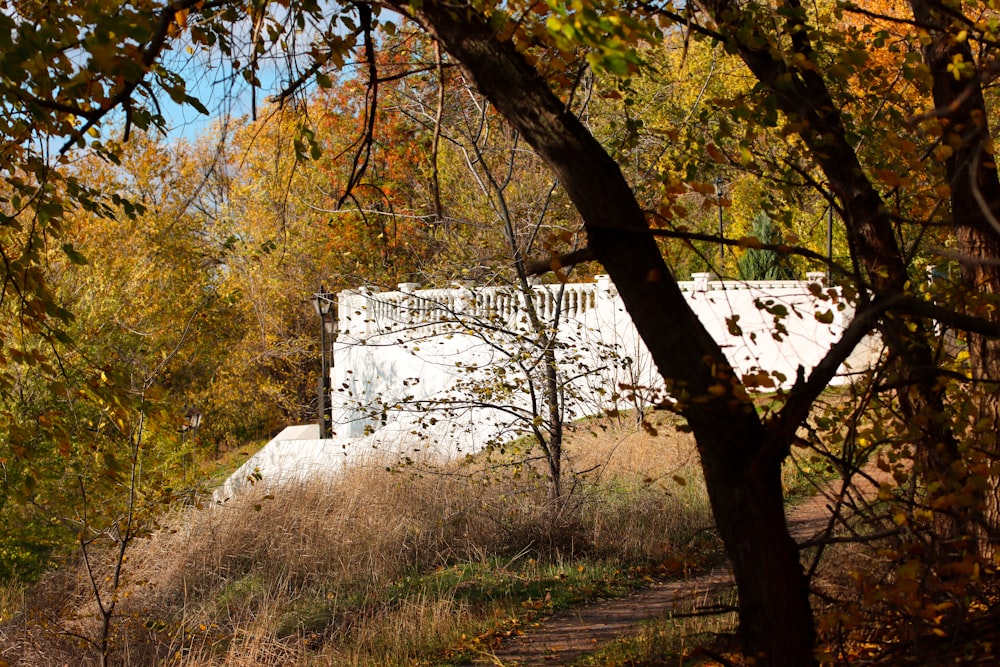 a white building sitting in the middle of a forest