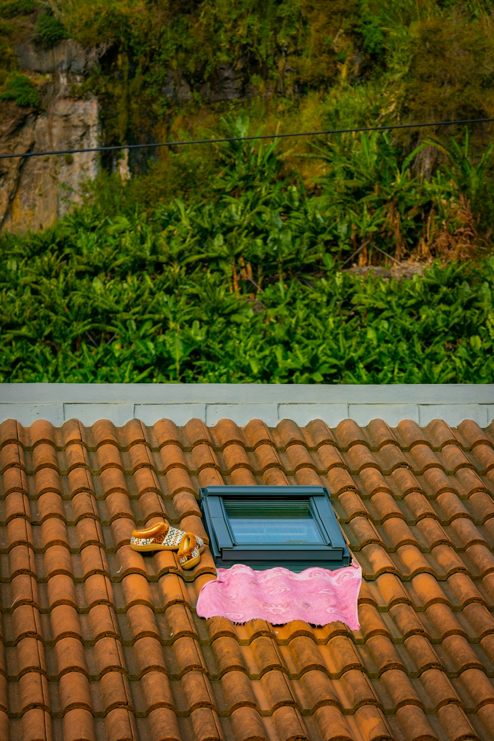 a pair of shoes sitting on top of a tiled roof