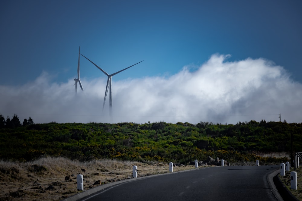 a wind farm in the middle of a road