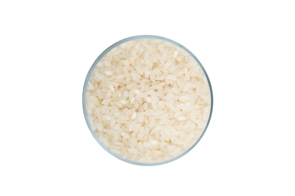 una ciotola di riso su sfondo bianco