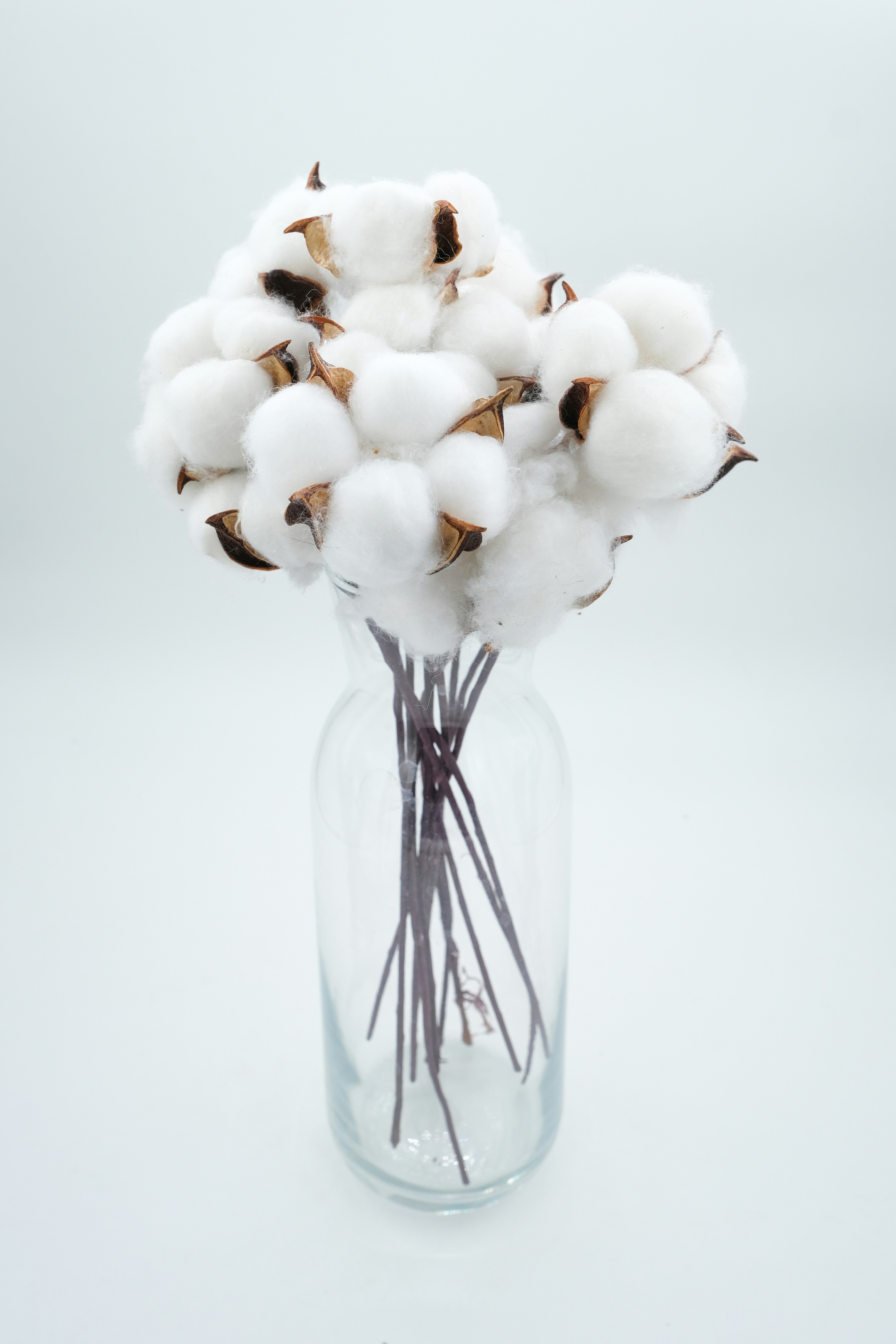 Photo by keskinlerinmehmet