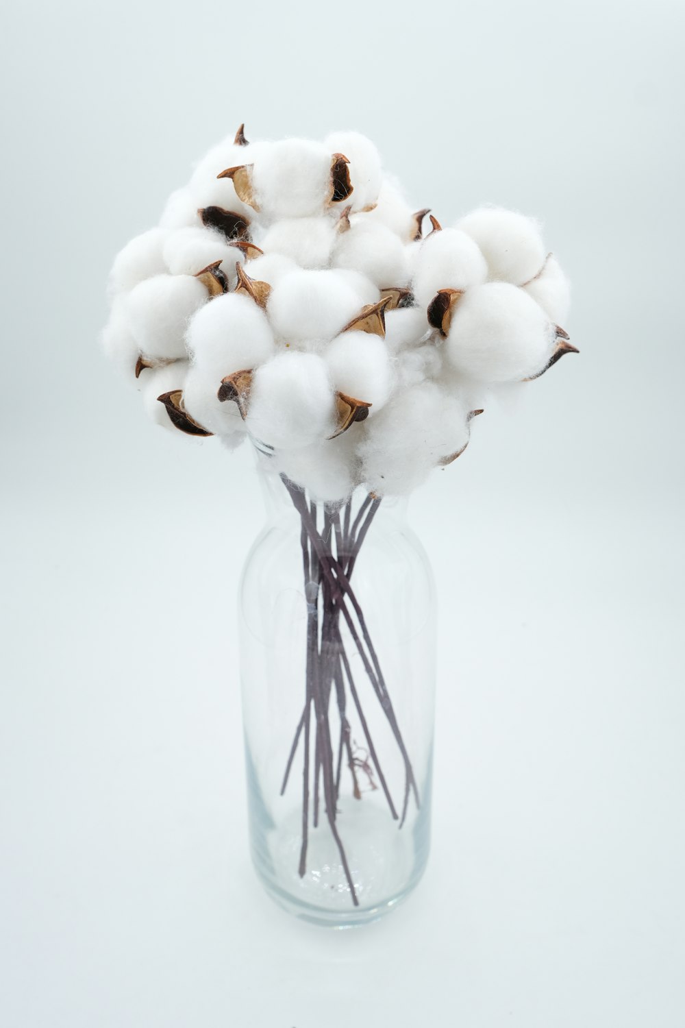 a glass vase filled with cotton on top of a table