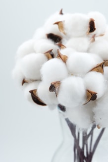 Cotton, sustainable materials