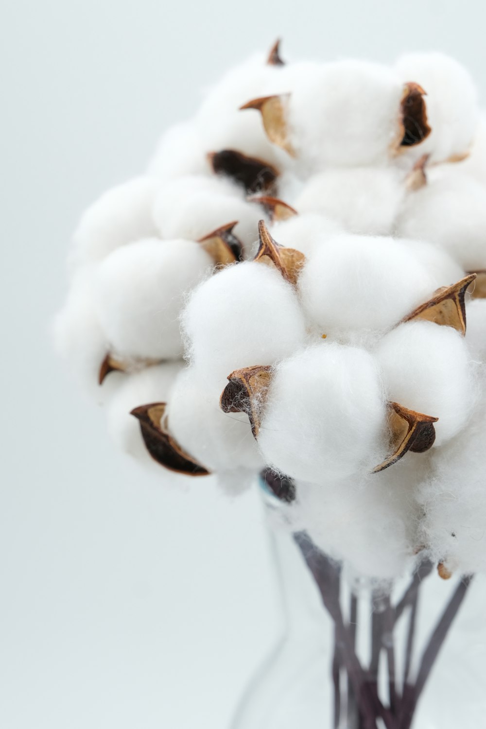 a glass vase filled with cotton balls on top of a table