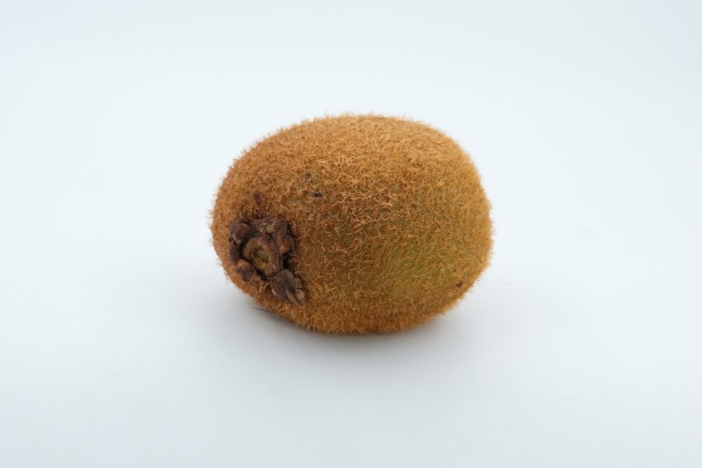 Um close up de uma fruta Kiwi em um fundo branco