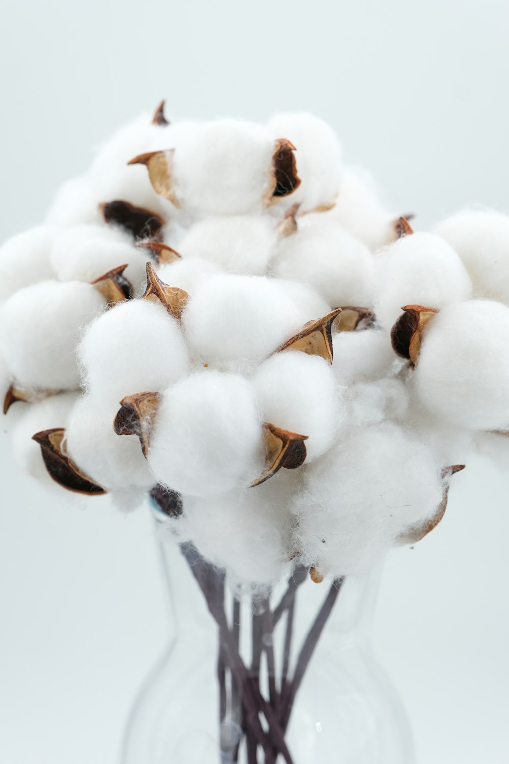 a glass vase filled with cotton balls on top of a table