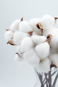 a bunch of cotton in a glass vase