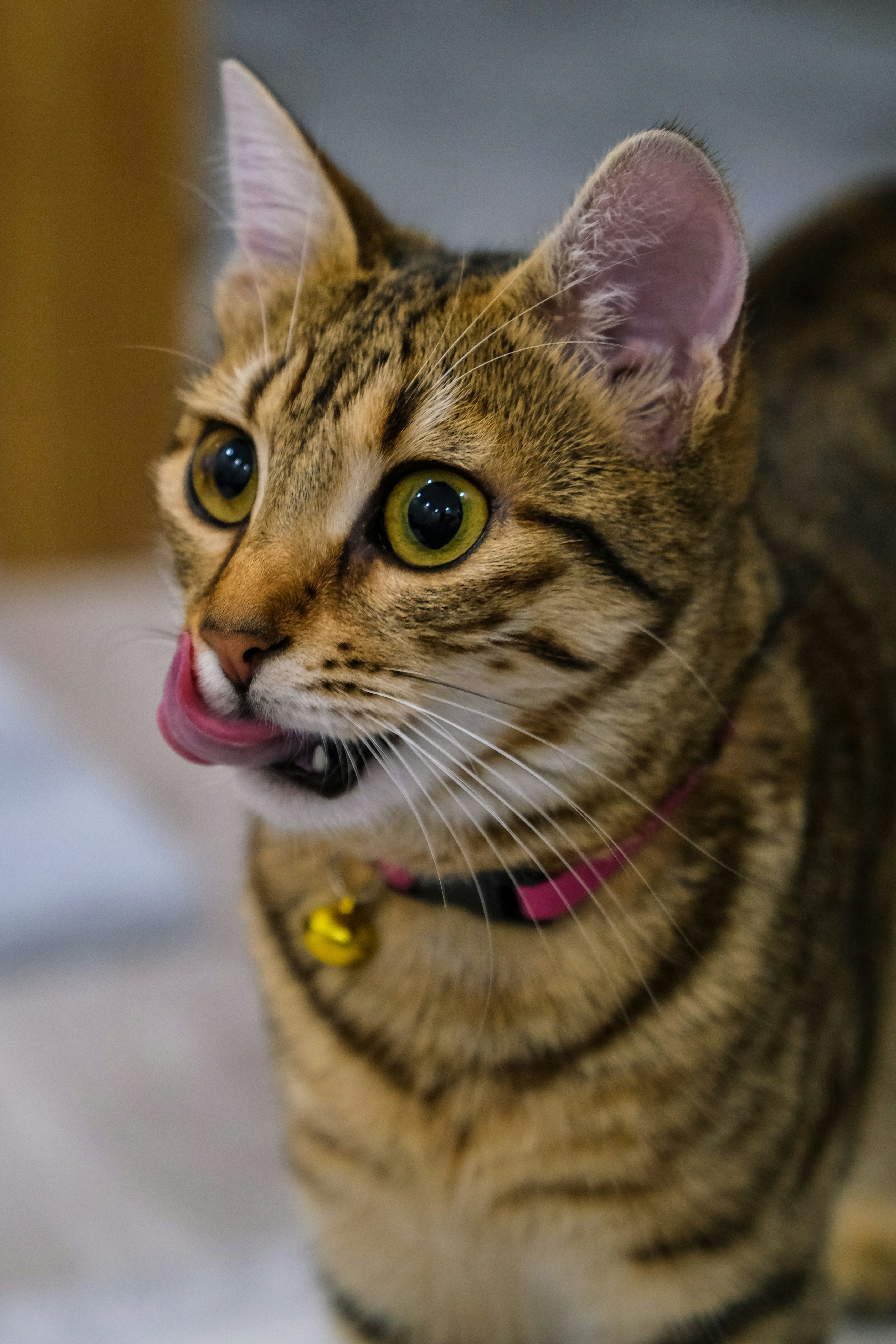 Photo by keskinlerinmehmet