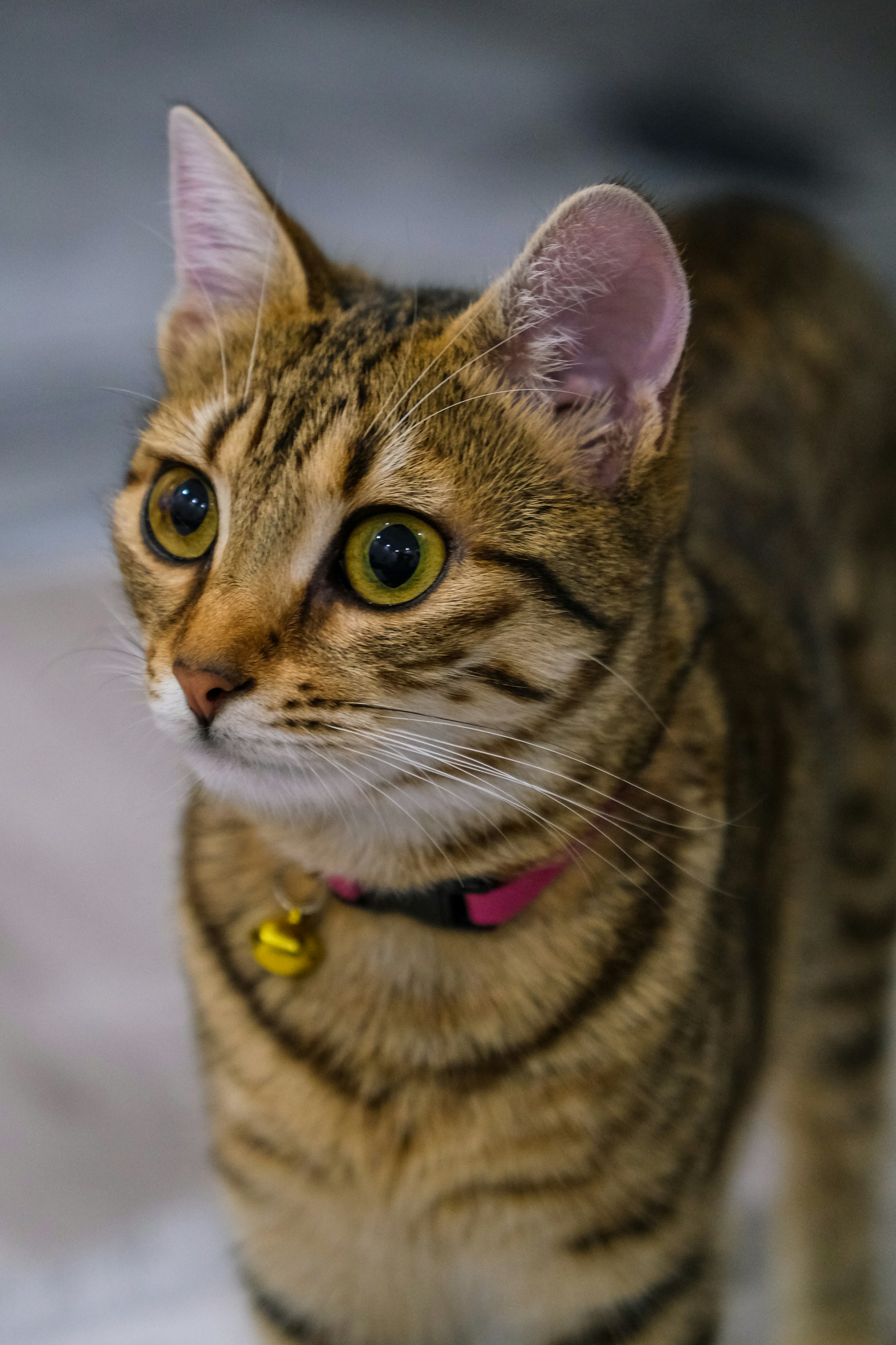 Photo by keskinlerinmehmet