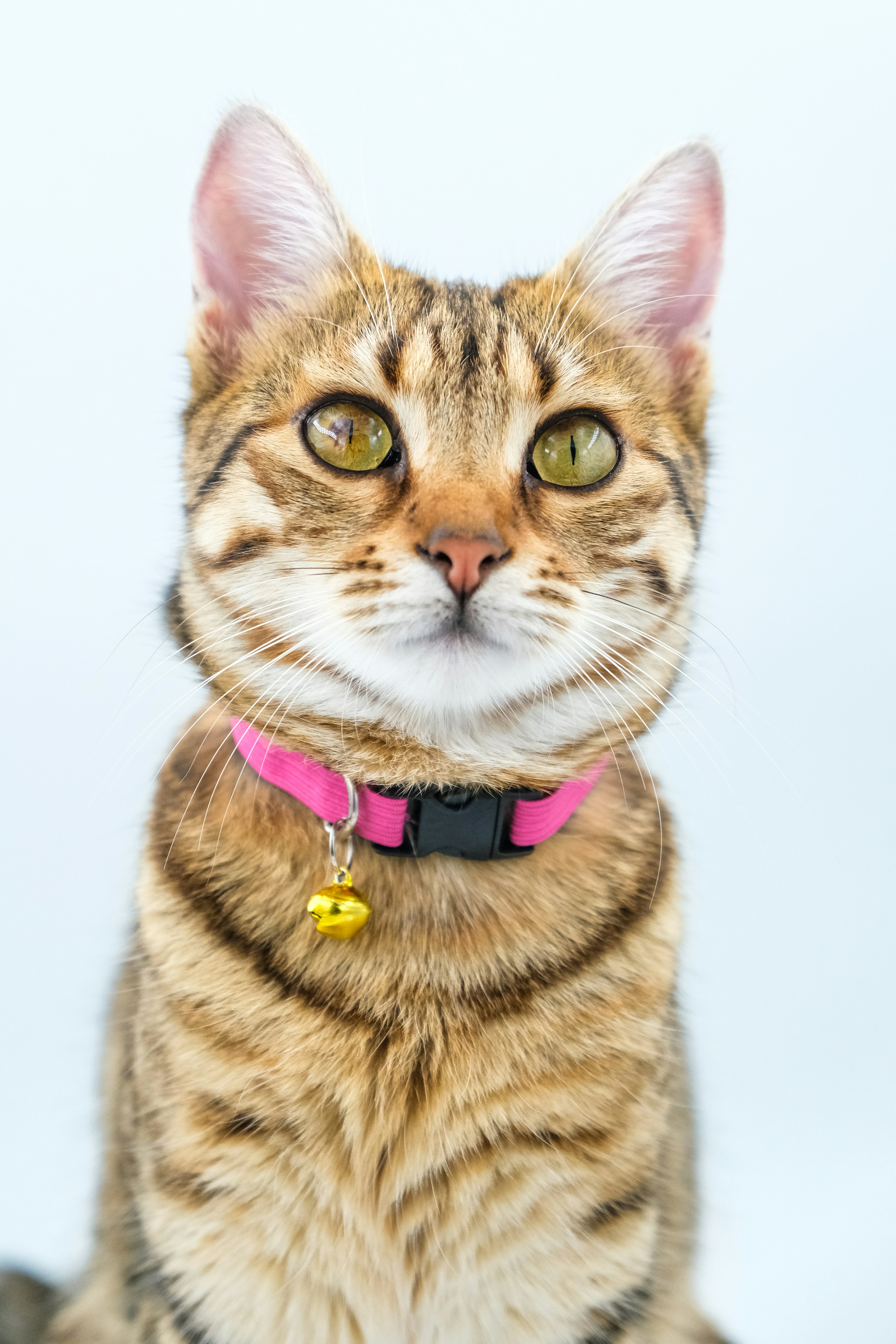 Photo by keskinlerinmehmet