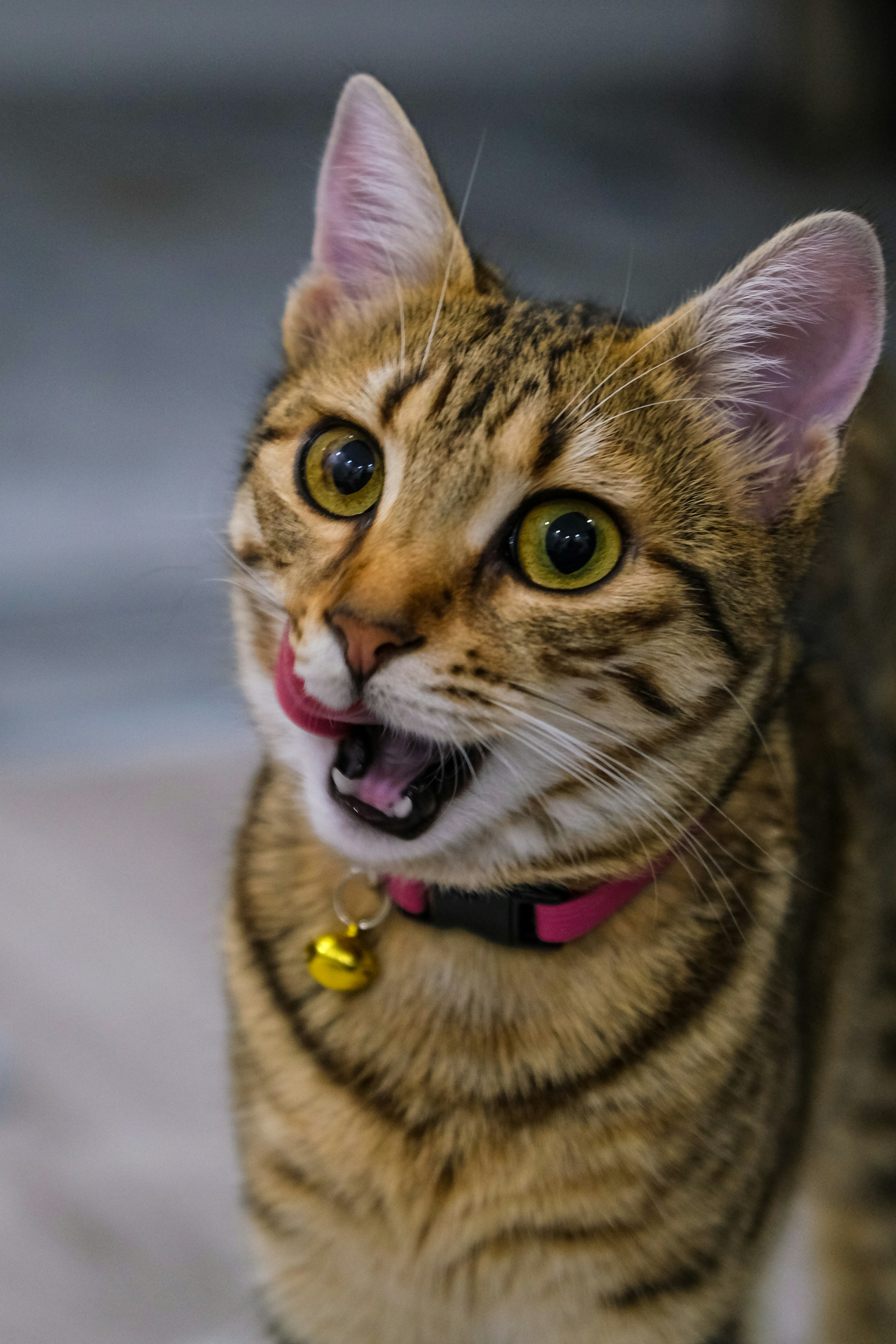 Photo by keskinlerinmehmet