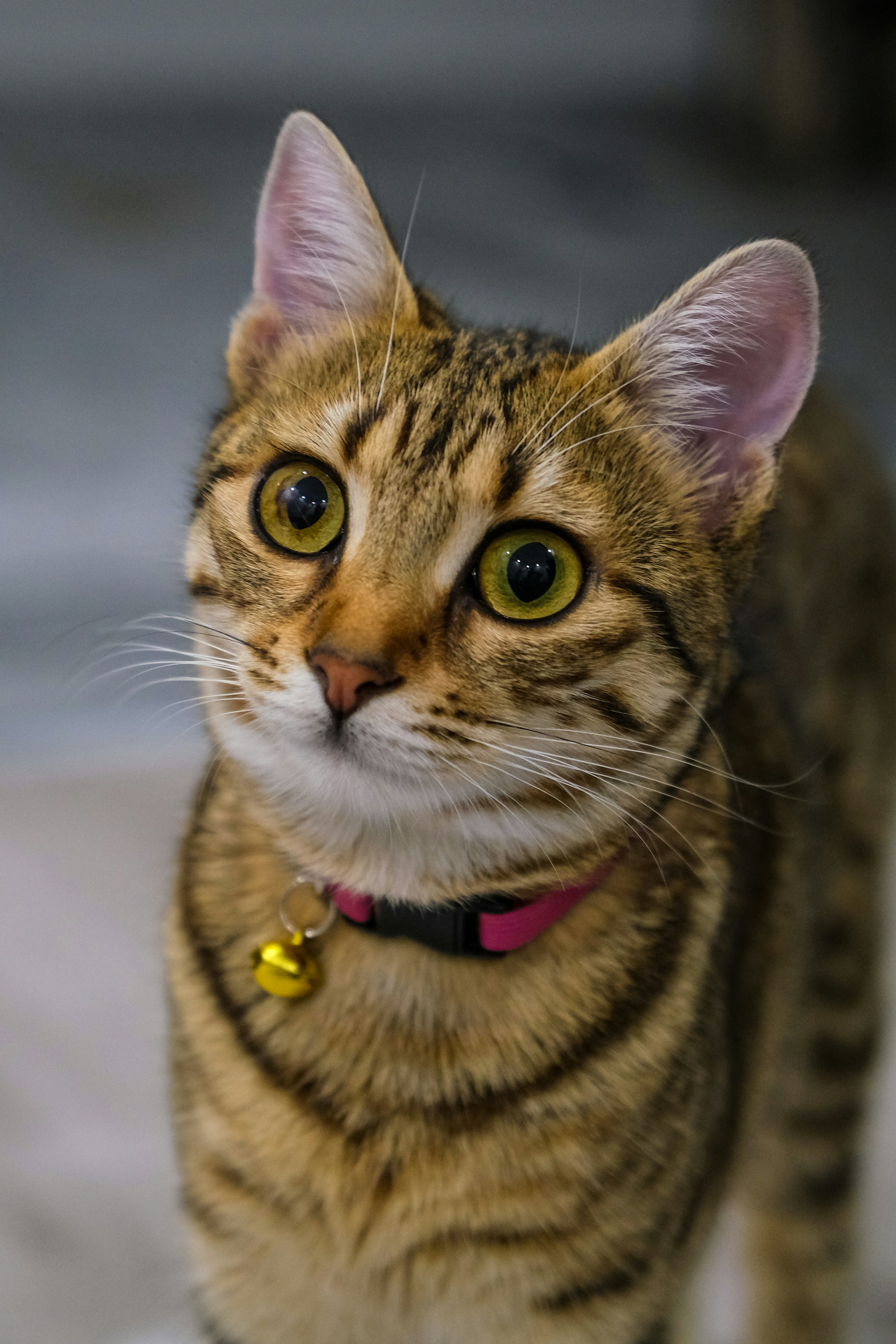 Photo by keskinlerinmehmet