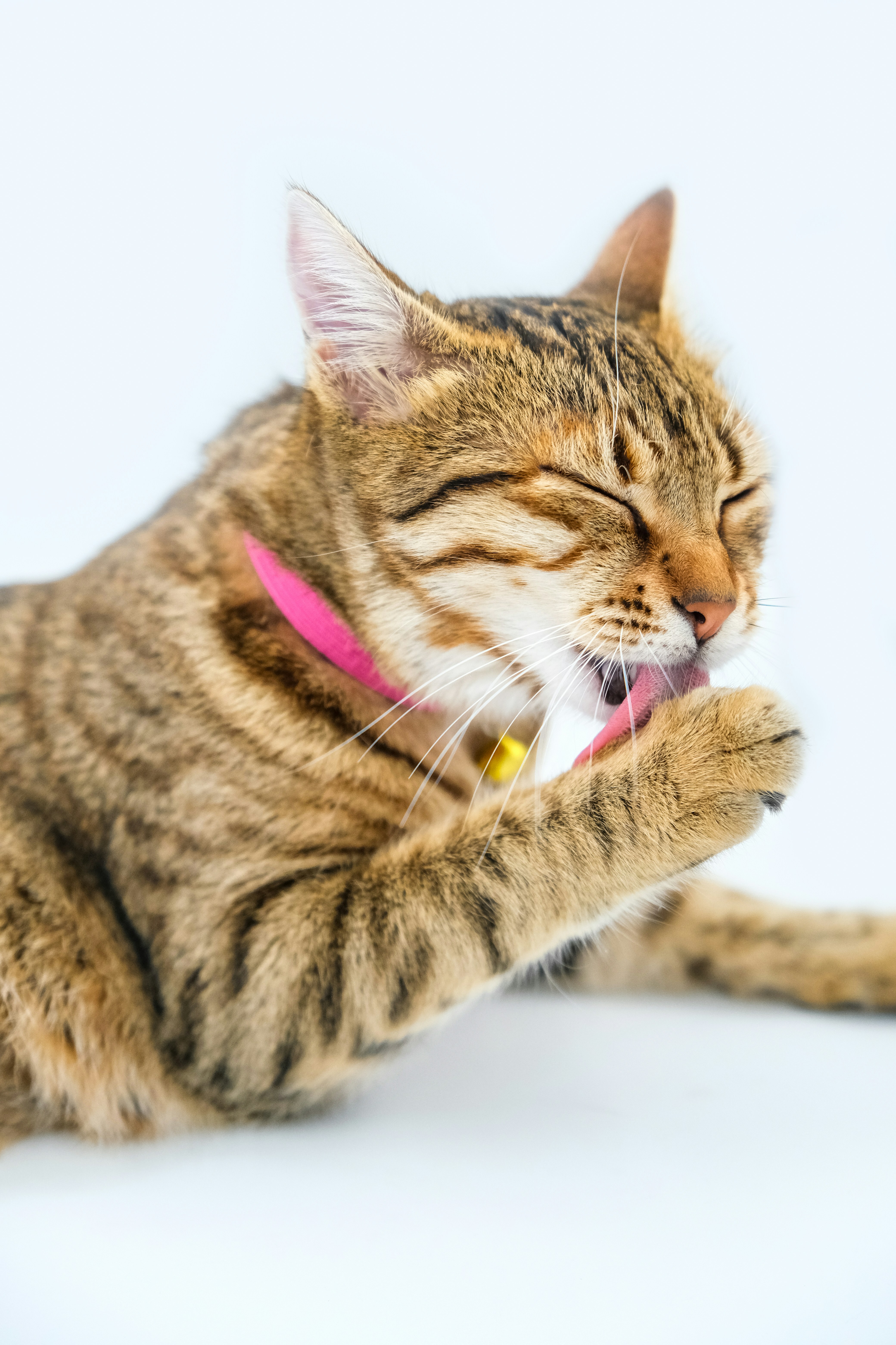 Building New Positive Associations (image credits: unsplash)