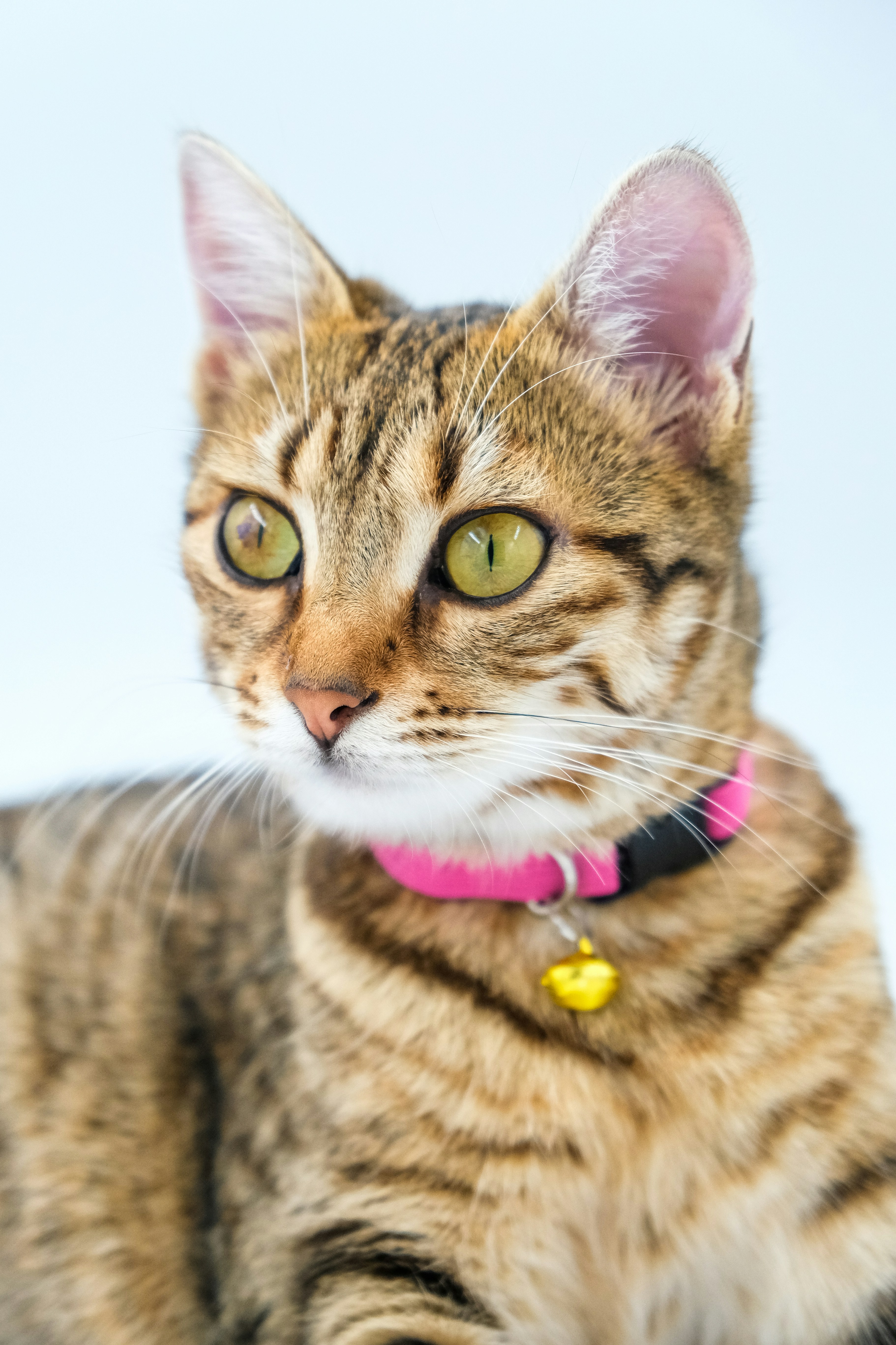 Photo by keskinlerinmehmet