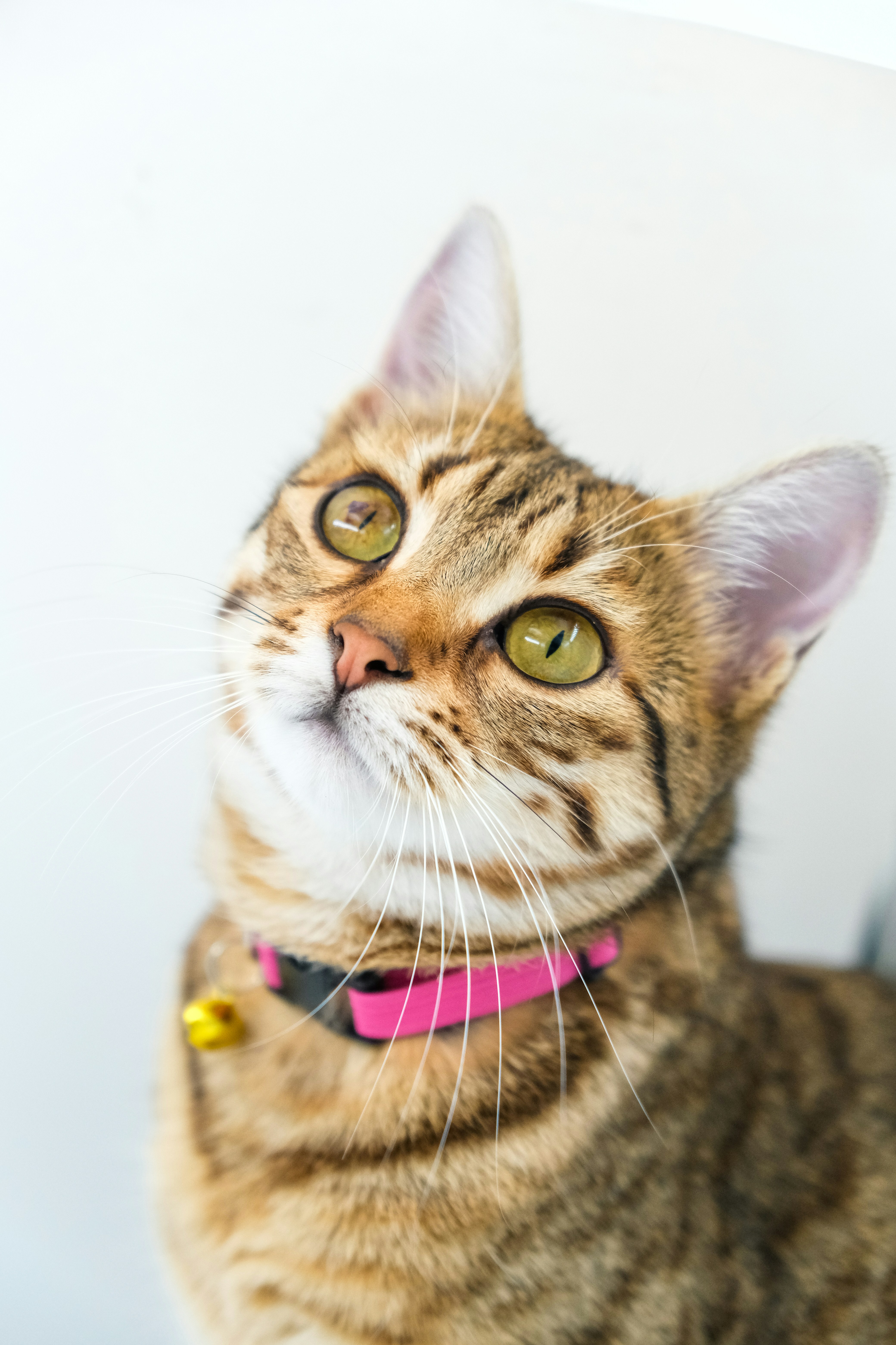 Photo by keskinlerinmehmet