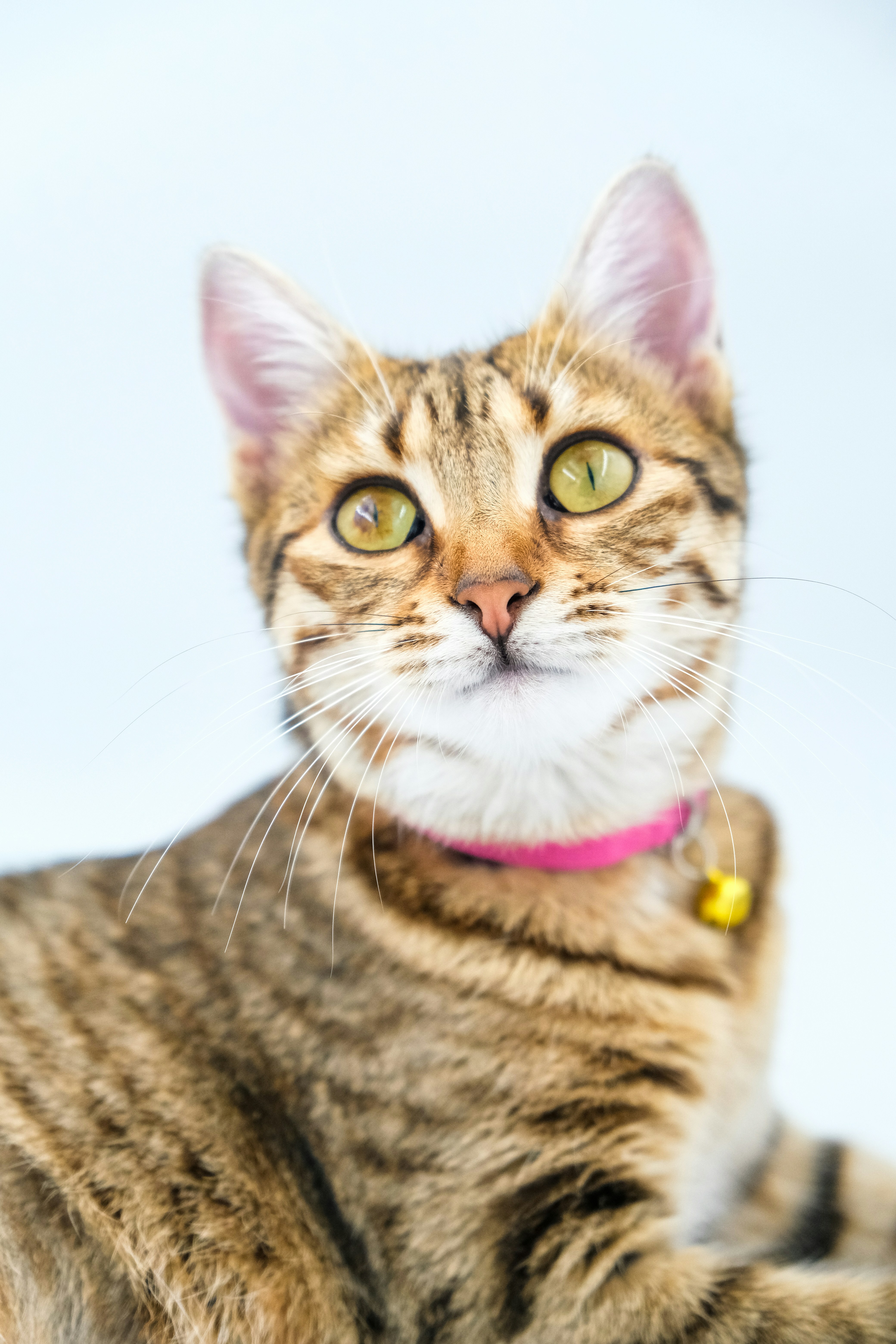 Photo by keskinlerinmehmet