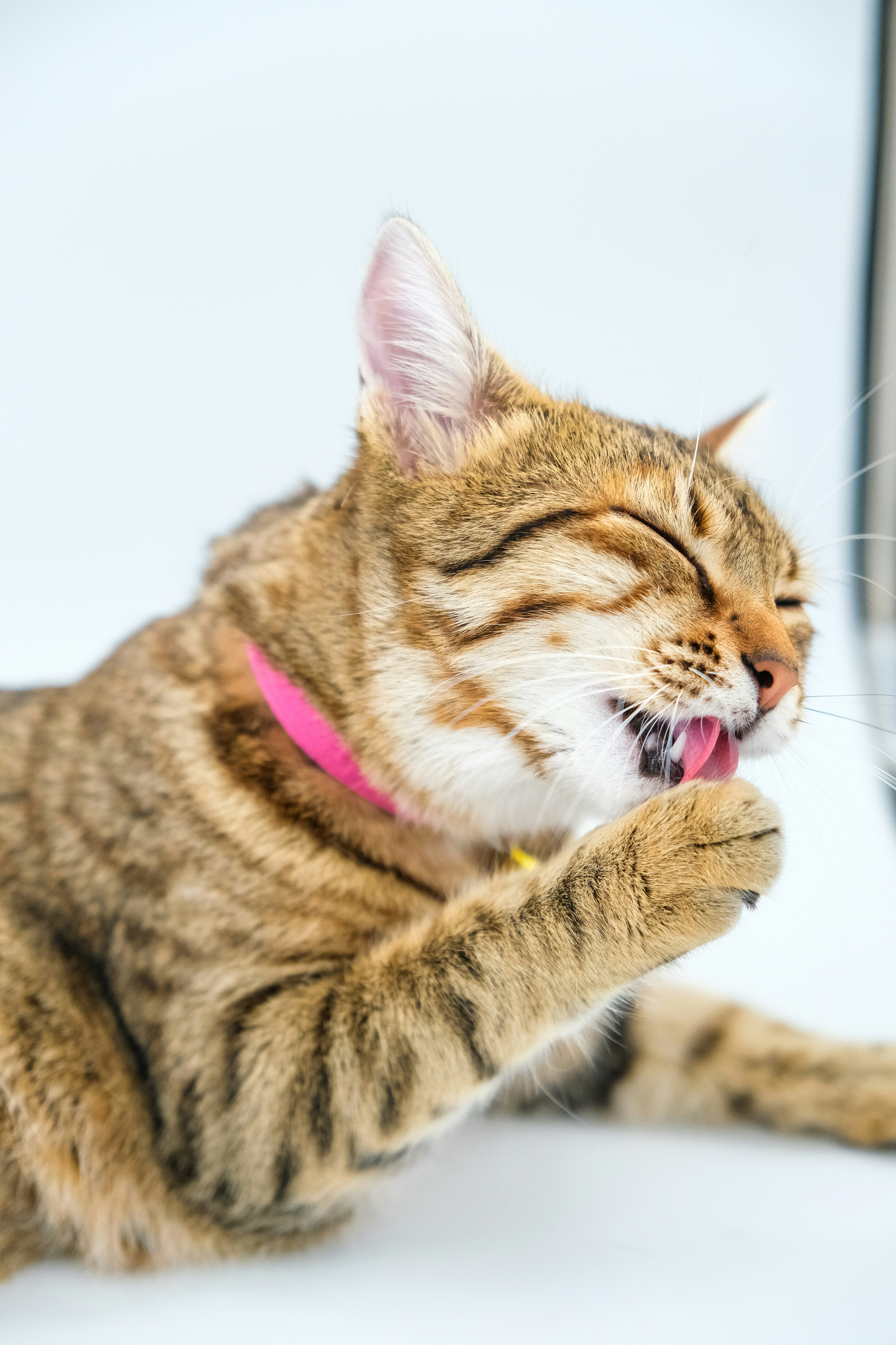 Photo by keskinlerinmehmet