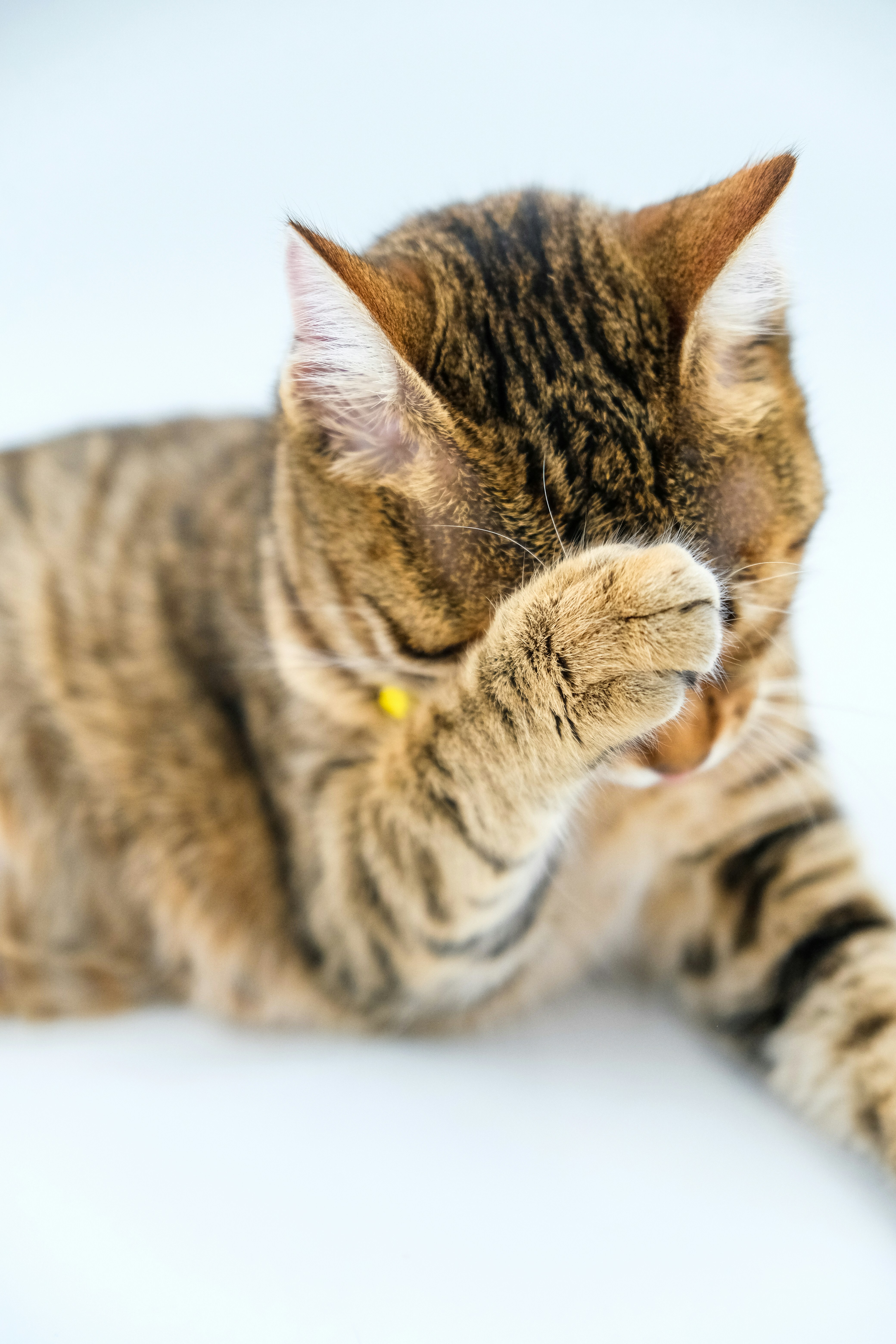 Photo by keskinlerinmehmet