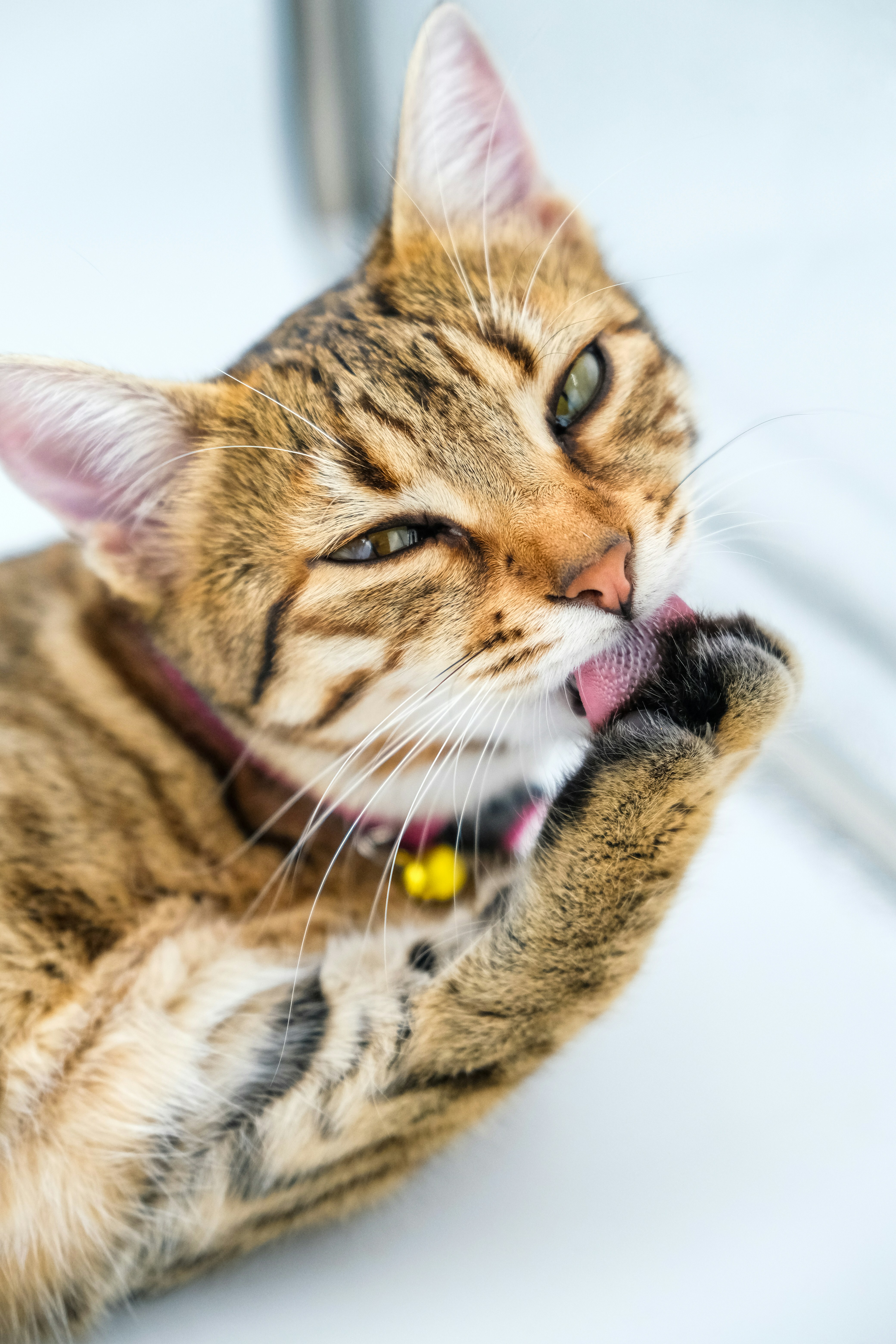 Photo by keskinlerinmehmet