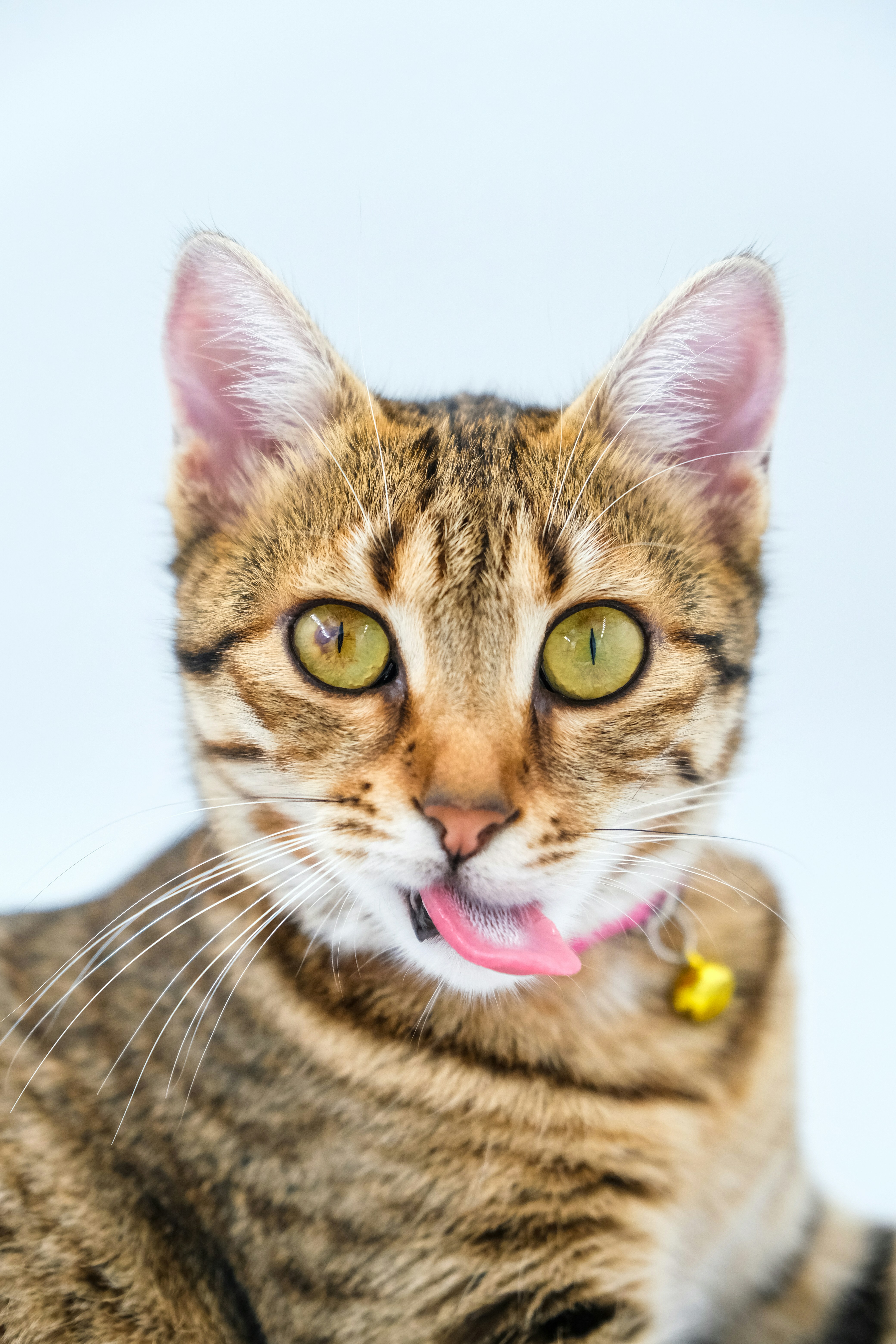 Photo by keskinlerinmehmet