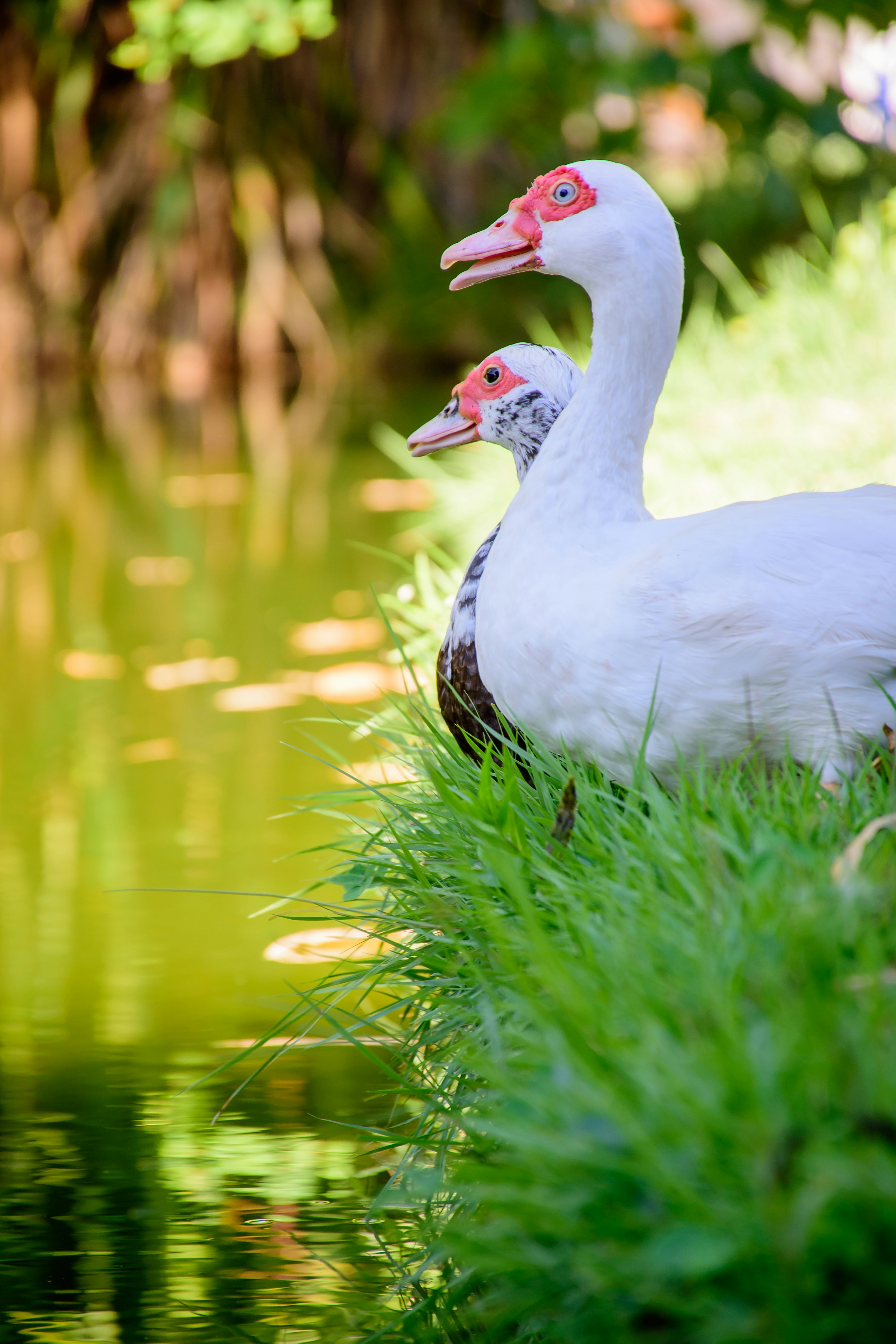 Photo by alessandro_souzaraujo