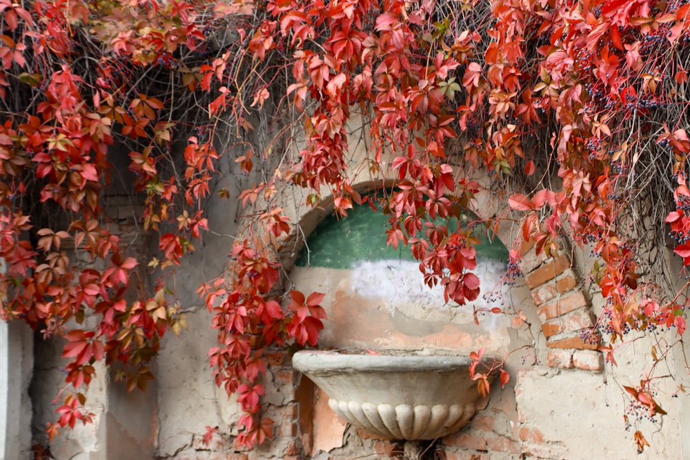 eine Steinmauer mit einem Springbrunnen, der von roten Blättern umgeben ist
