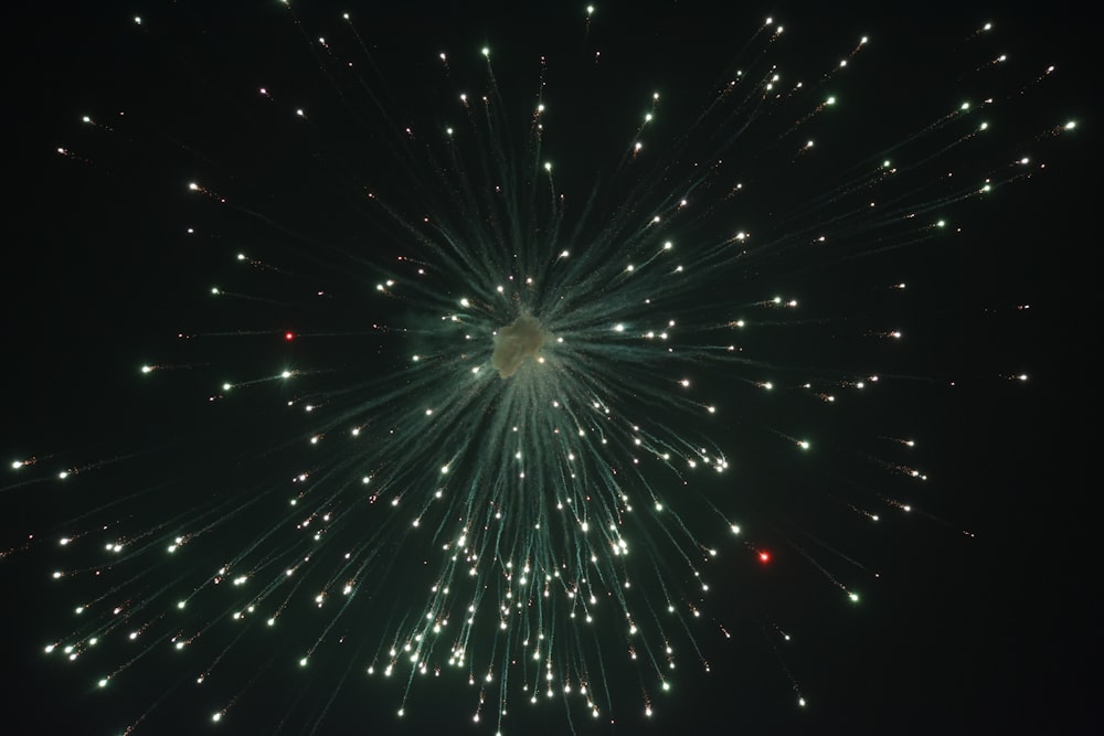 a large fireworks is lit up in the night sky