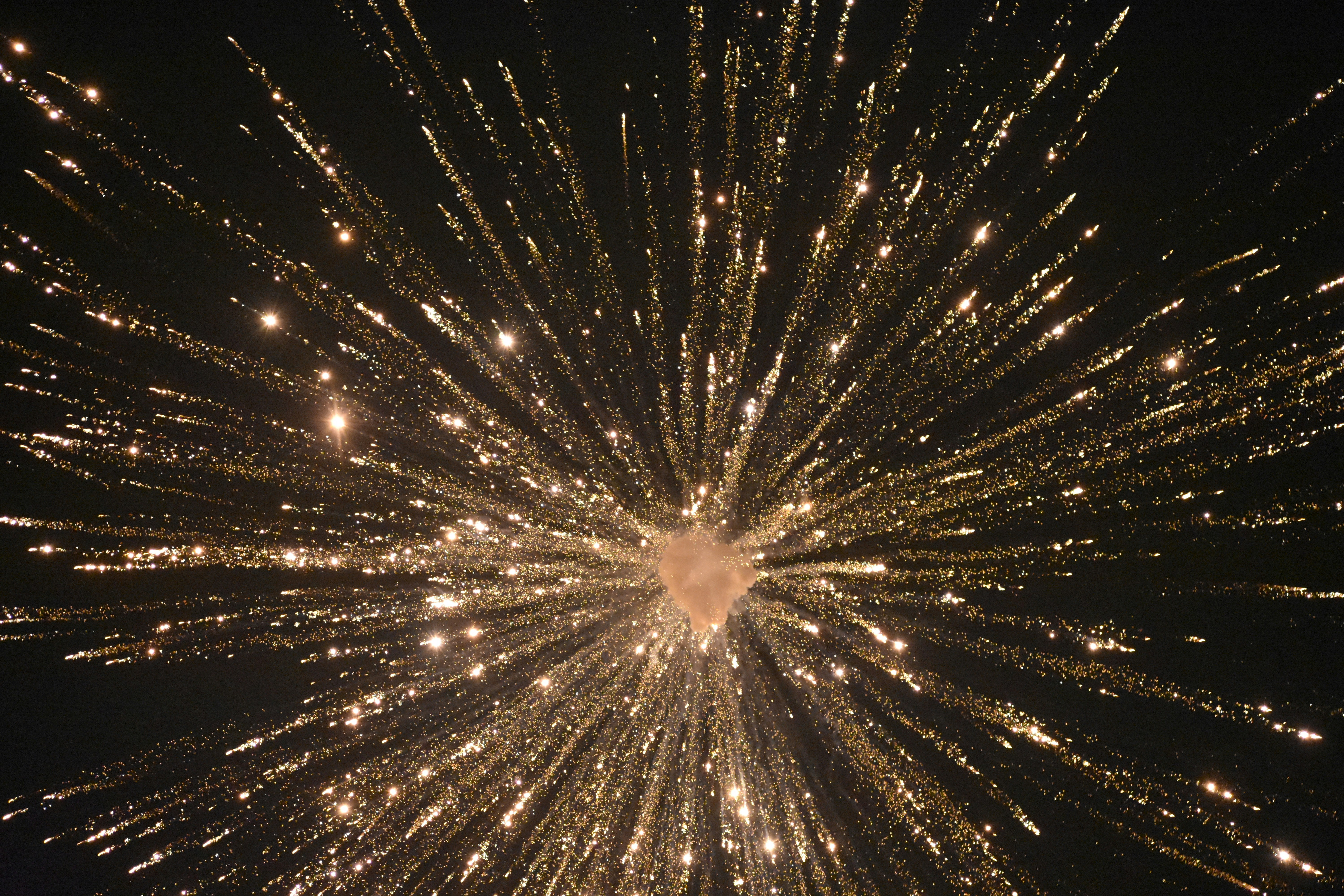 Happy Republic Day 26 January: Heartfelt Wishes to Share