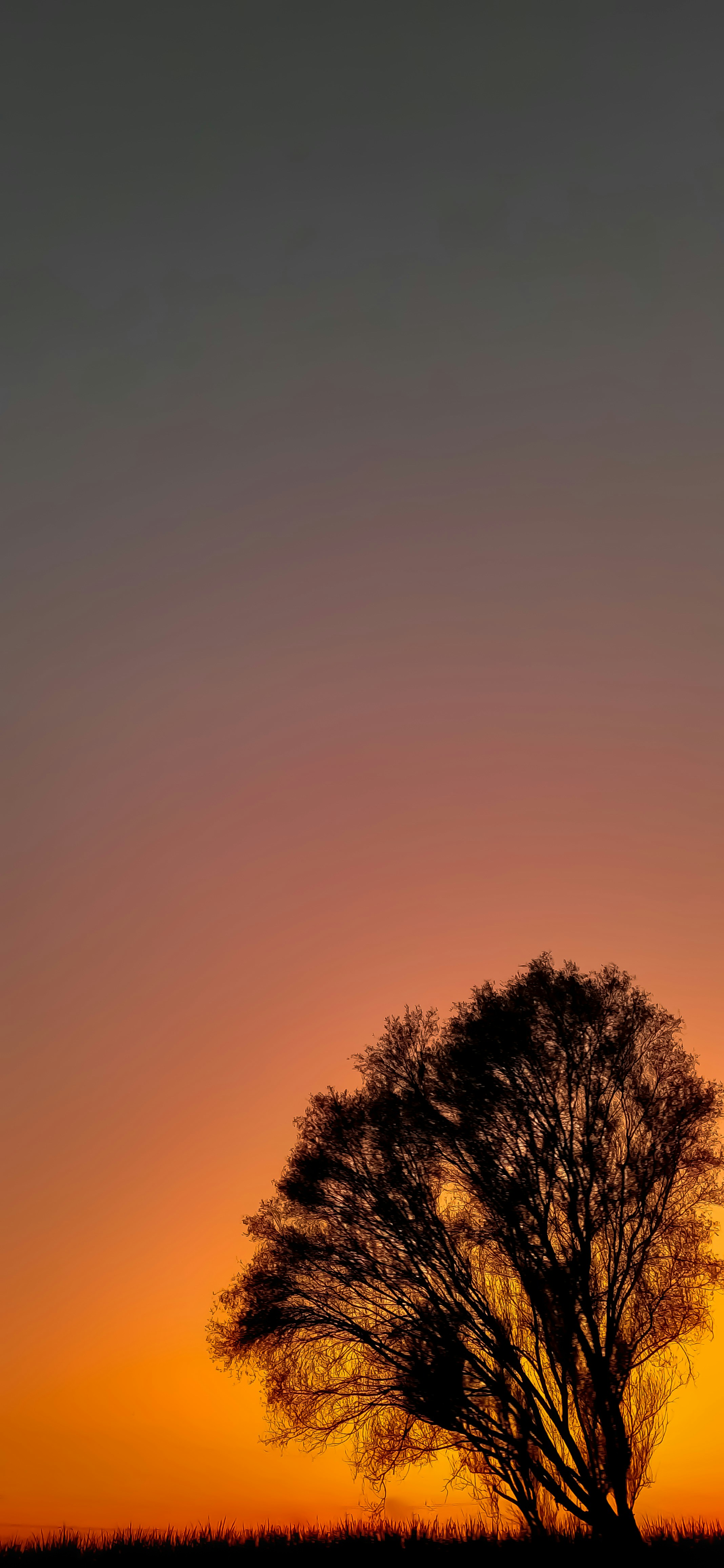 Photo by omkar_abhale