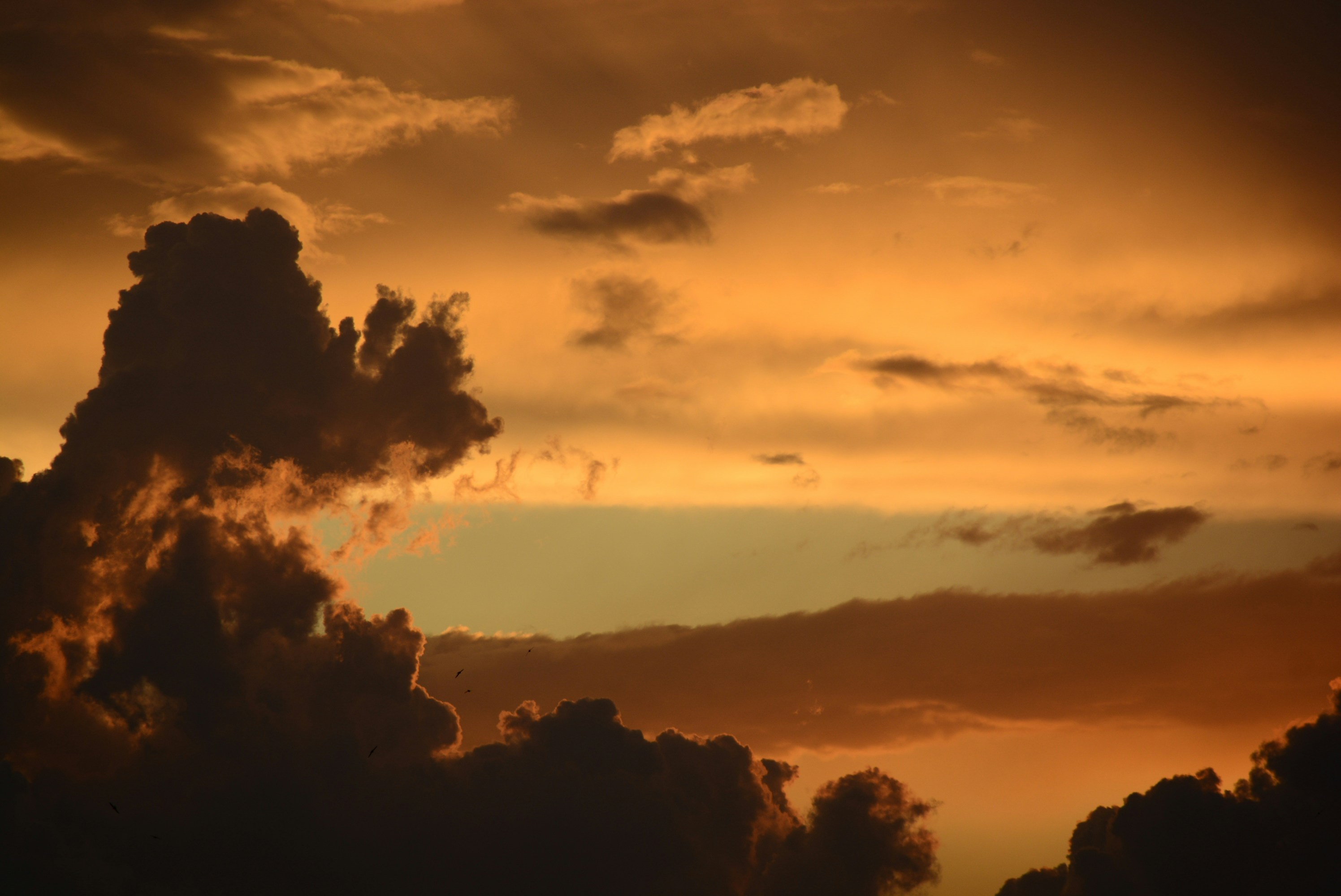 Photo by oblacko_oorta