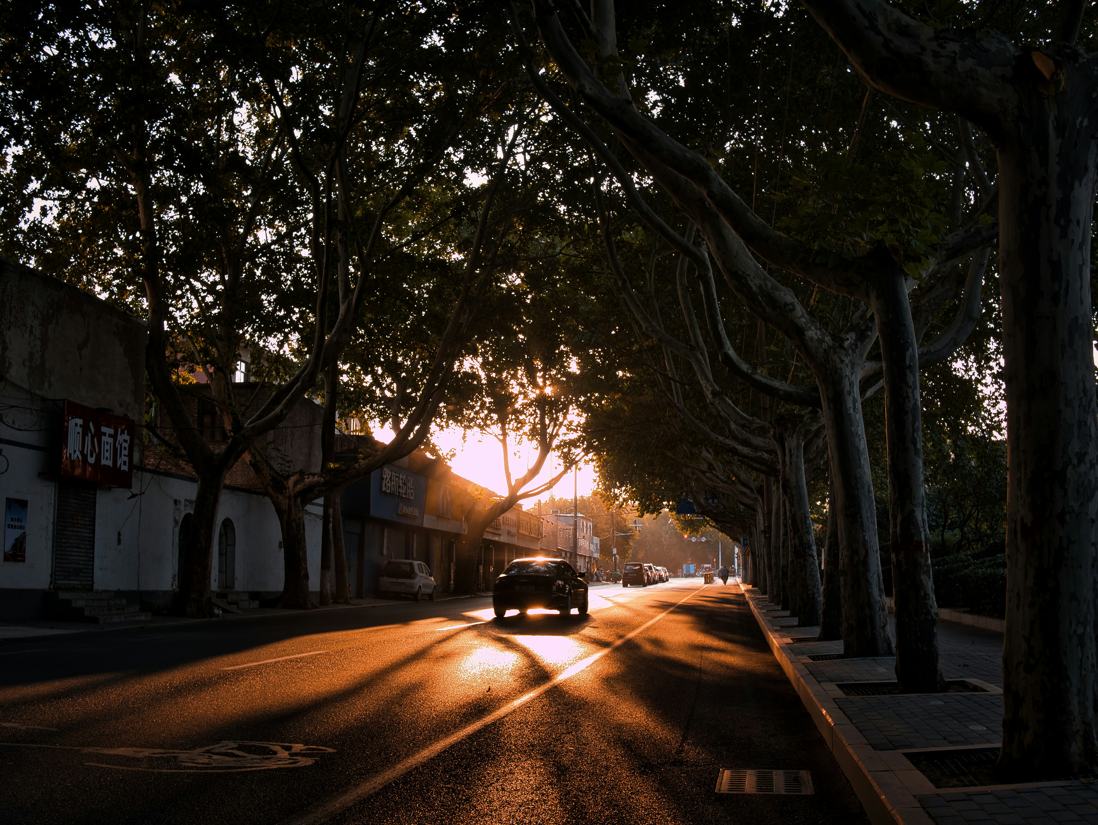 a car driving down a street next to tall trees