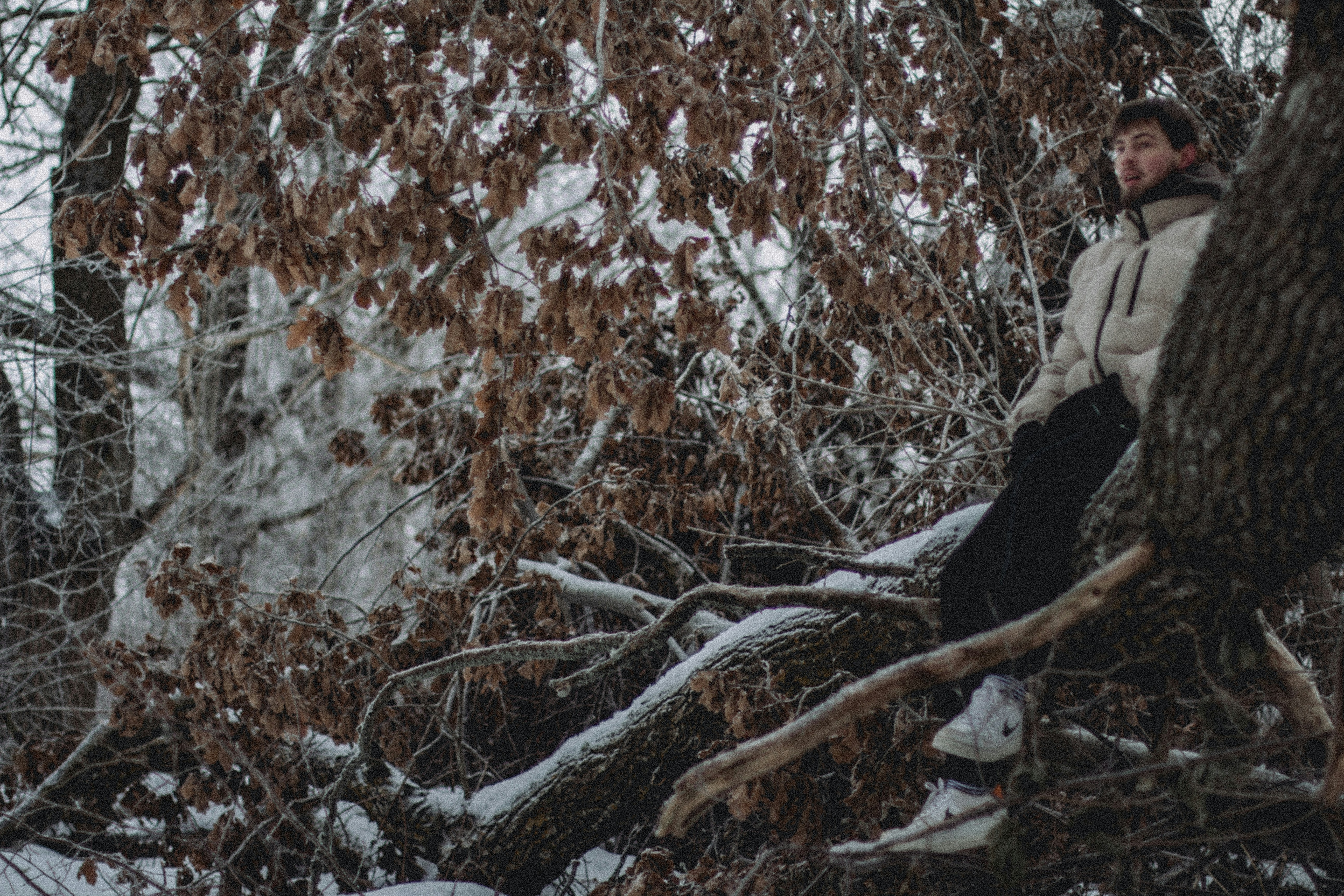 Photo by maximyuryshev