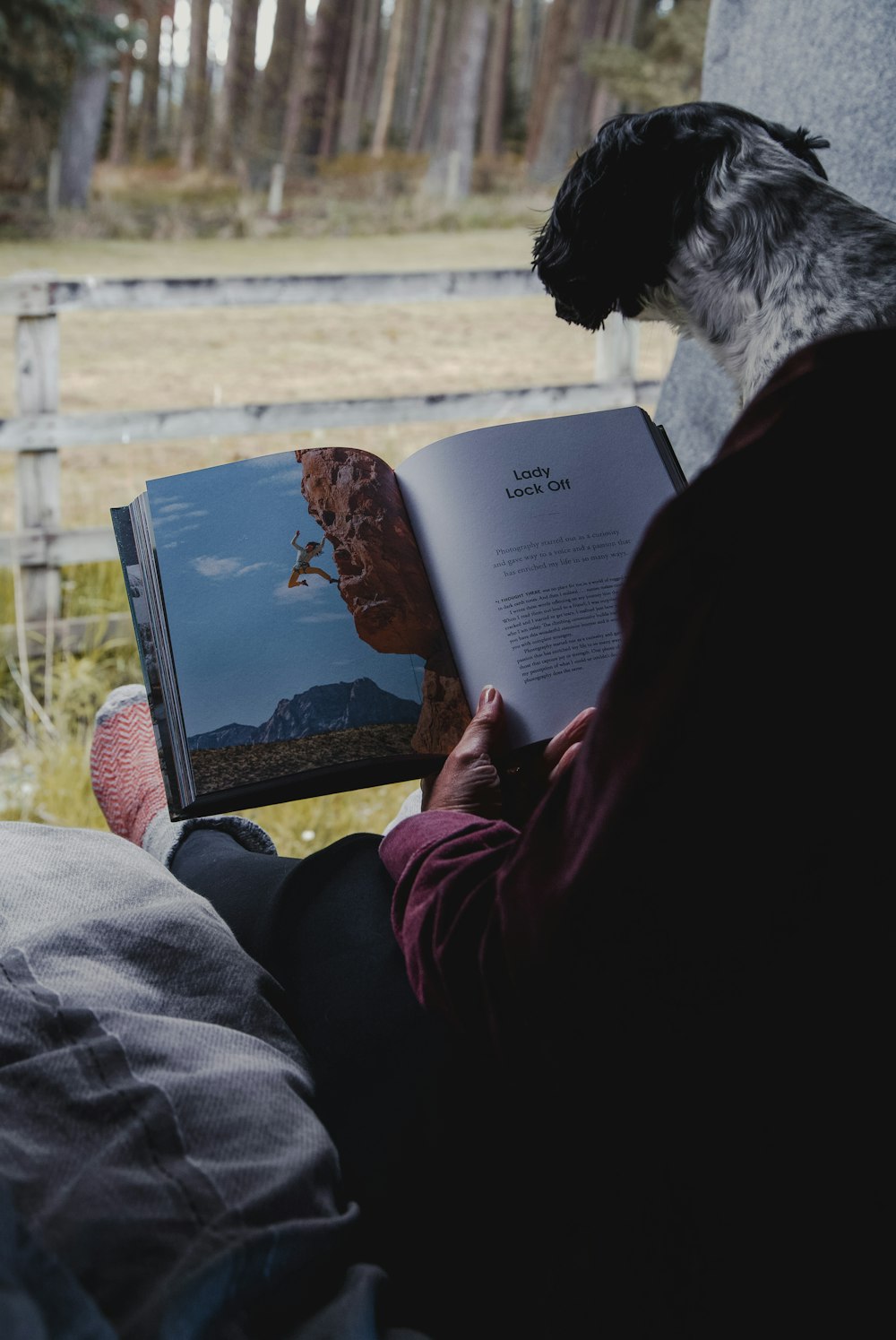 a person reading a book with a dog on their lap