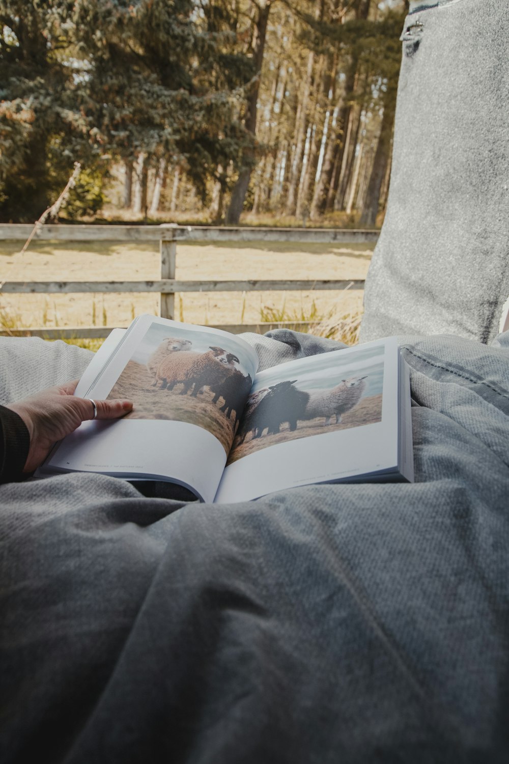 a person laying in a hammock reading a book