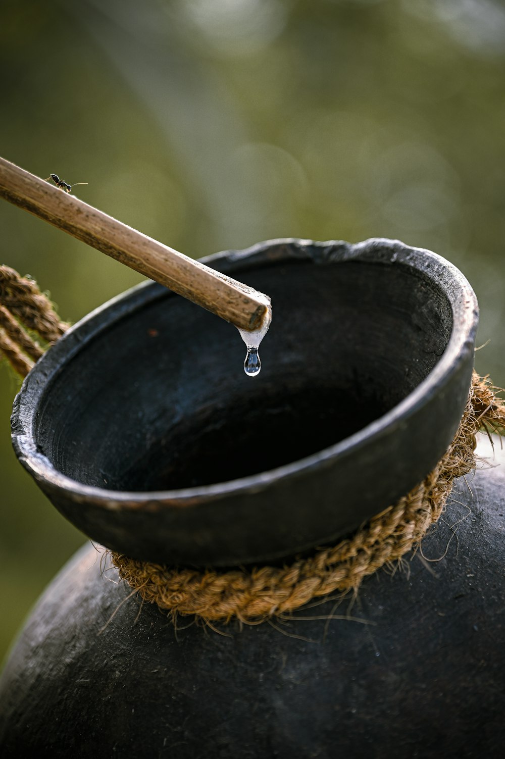 a wooden stick sticking out of a black pot