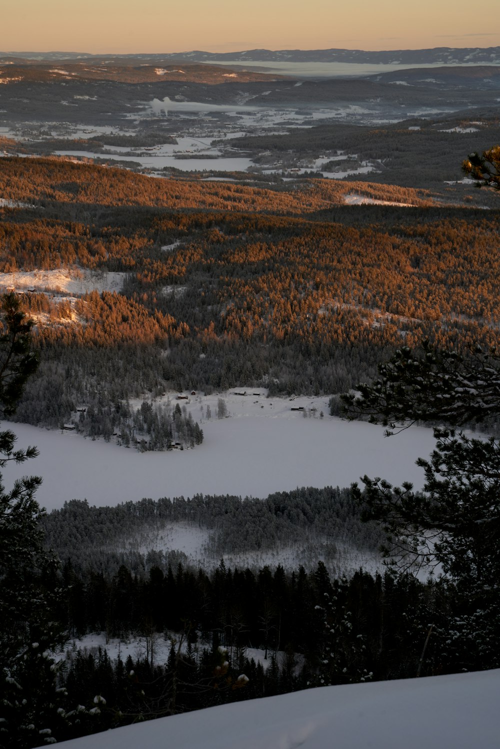 Una vista de una montaña cubierta de nieve con árboles en primer plano