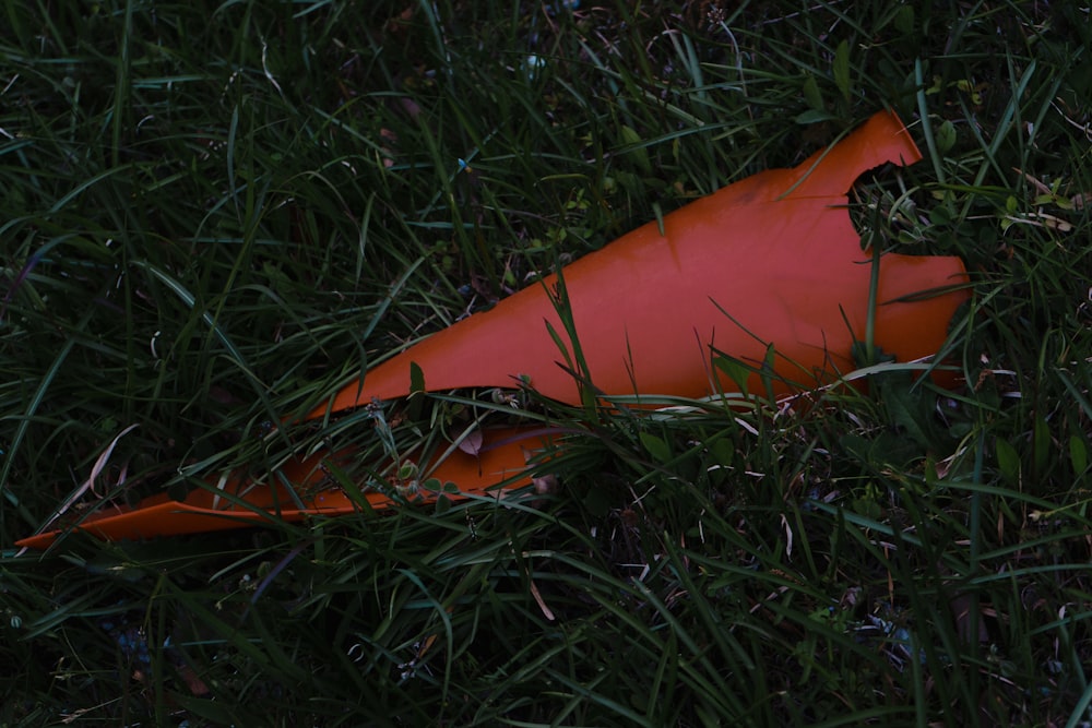 an orange object laying in the grass