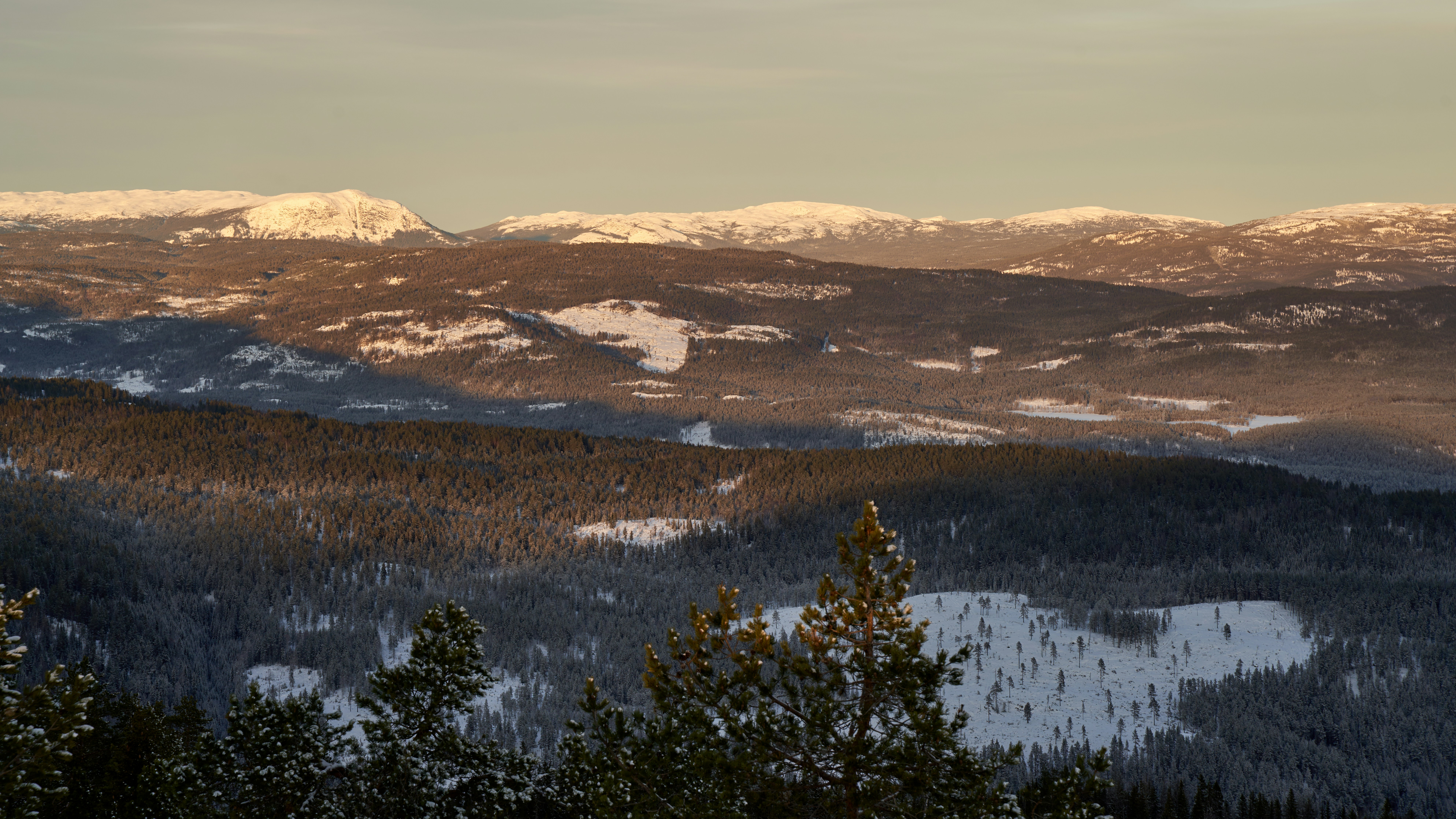 Photo by davotibarna