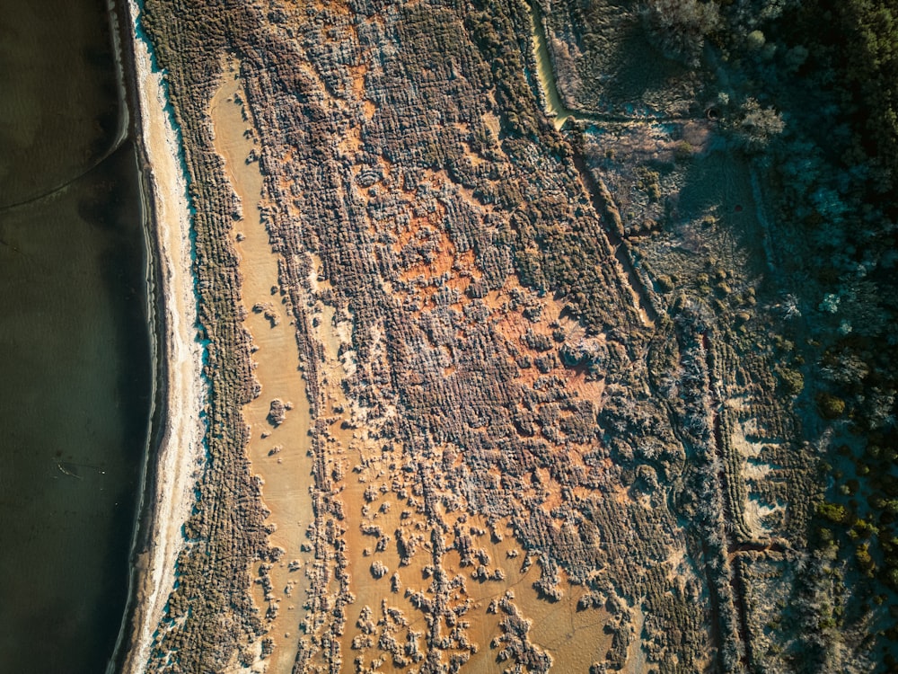 an aerial view of a beach and a body of water