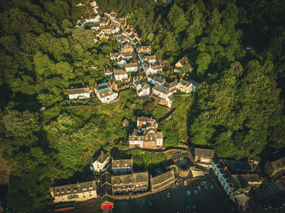 Luftaufnahme eines von Bäumen umgebenen Dorfes
