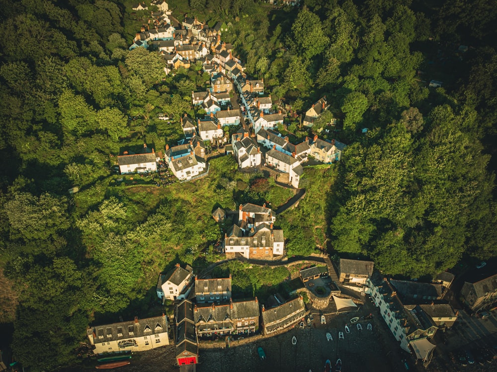 an aerial view of a village surrounded by trees